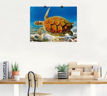 Artland Wandbild Schildkröte, Wassertiere (1 St), als Leinwandbild, Poster, Wandaufkleber in verschied. Größen