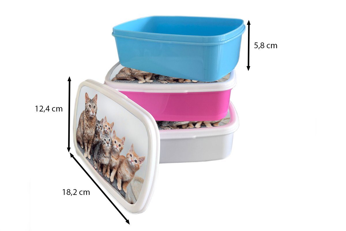 Katze Kinder, für Erwachsene, - Kunststoff, Mädchen, Lunchbox Kunststoff rosa - Brotbox (2-tlg), Snackbox, Kätzchen Brotdose MuchoWow Fell,