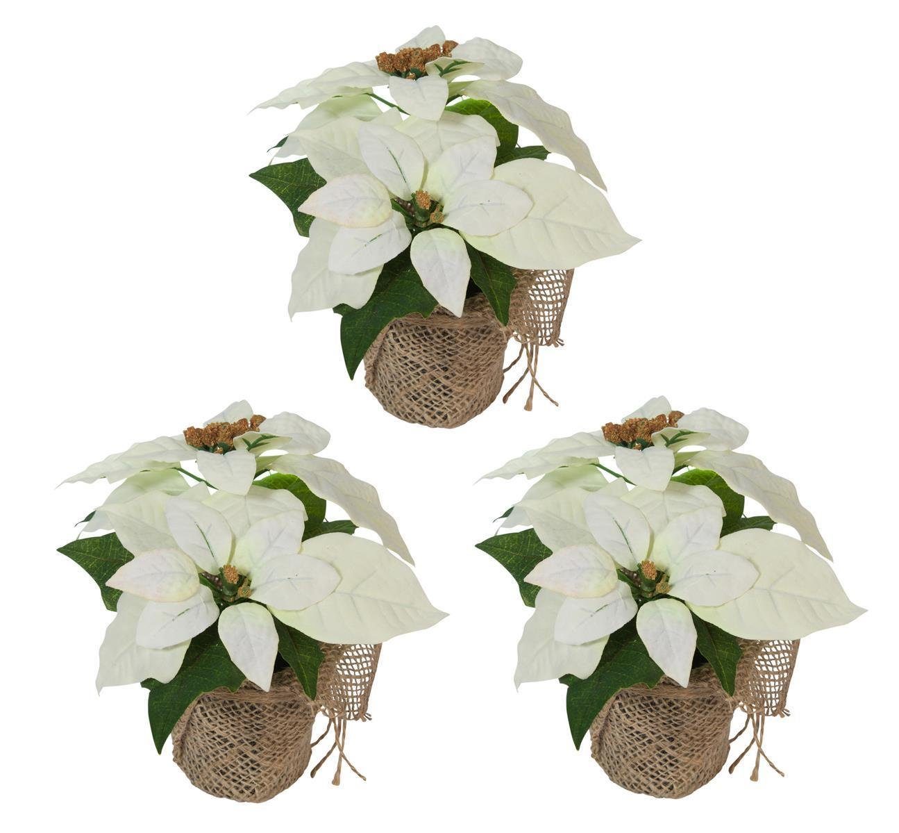 Winterliche Kunstpflanze 3 Stk. Weihnachtsstern Künstlich Christstern Poinsettie Dekoblume Weiß