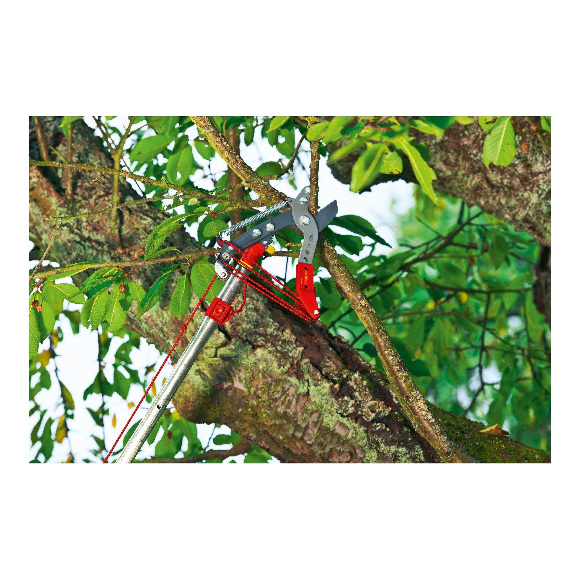 WOLF-Garten Astschere WOLF-Garen - Profi-Baumschere multi-star® RC-VM