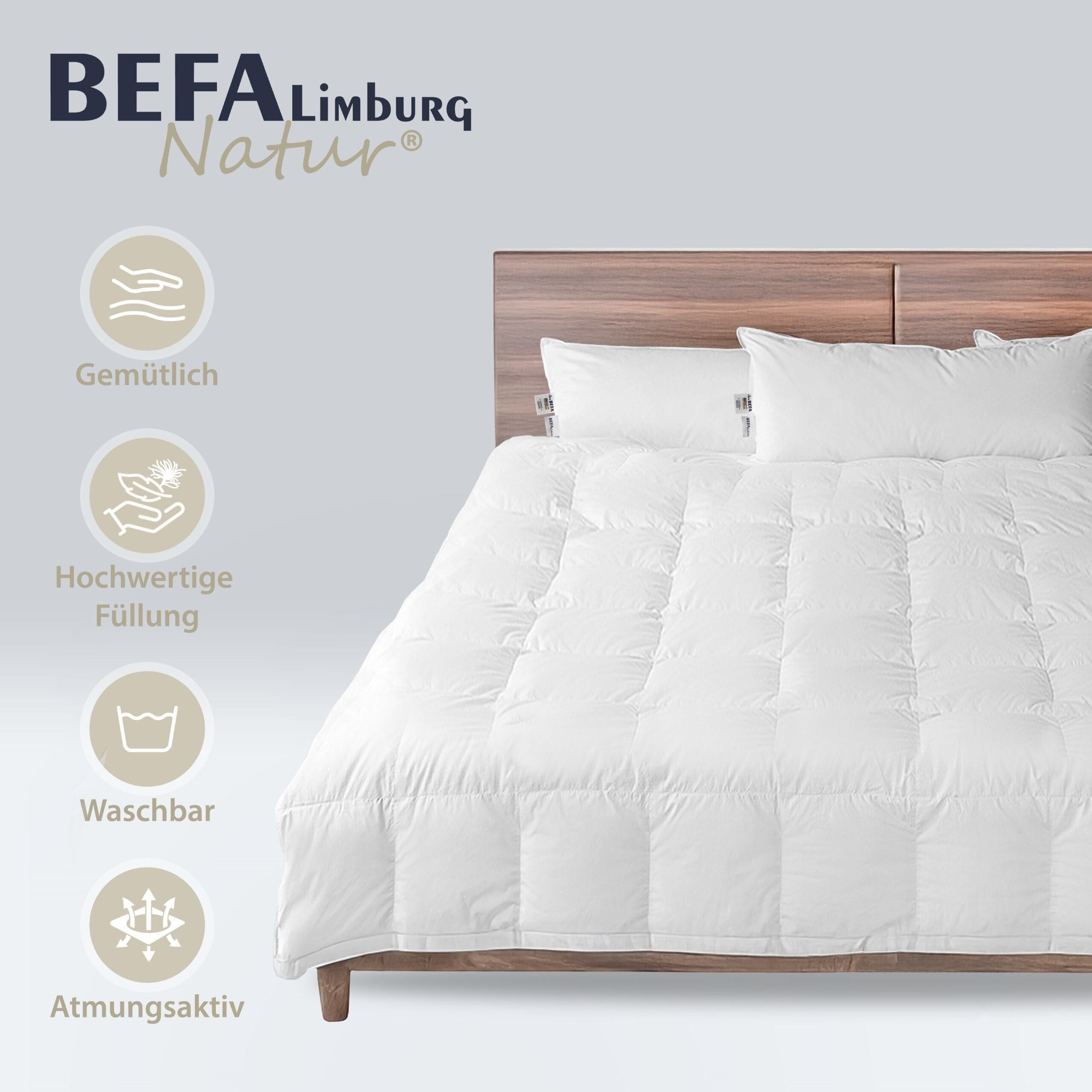 BEFA NATUR Daunenbettdecke 4-Jahreszeitendecke - weich & kuschelig - Premium-Ganzjahresdecke, Füllung: 60% Daunen, 40% Federn, Bezug: Baumwolle, Made in Germany – Bild 4 von 5