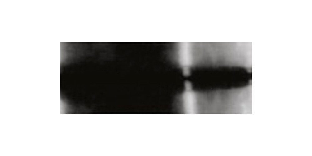 Kreul Bastelfarbe Stofffärbemittel Javana Batik-Textilfarbe, 70 g