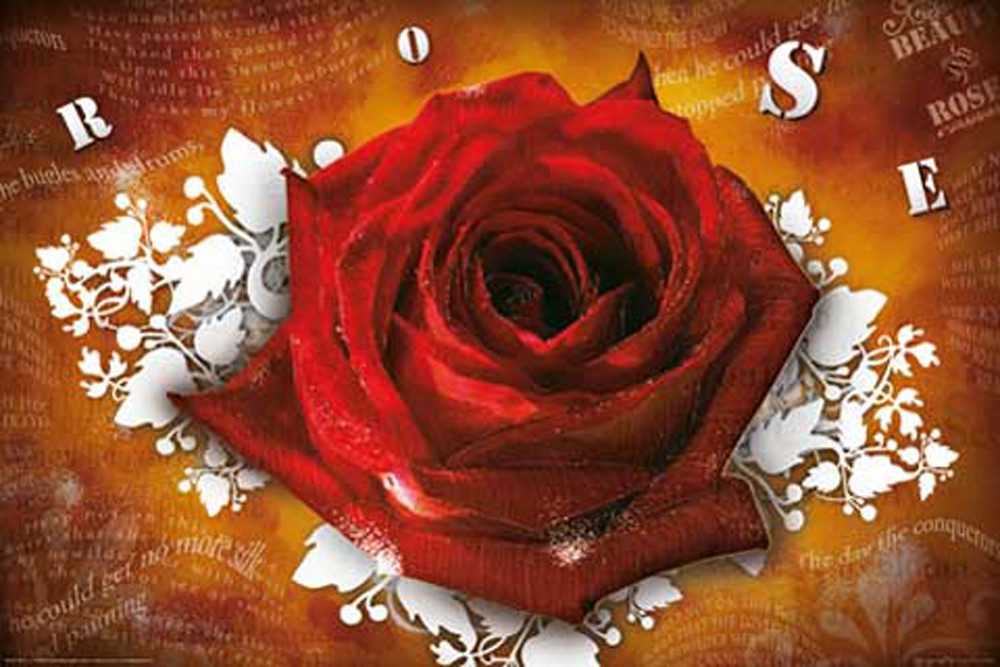 Poster Flowers - Плакат - Rose - Lyrics