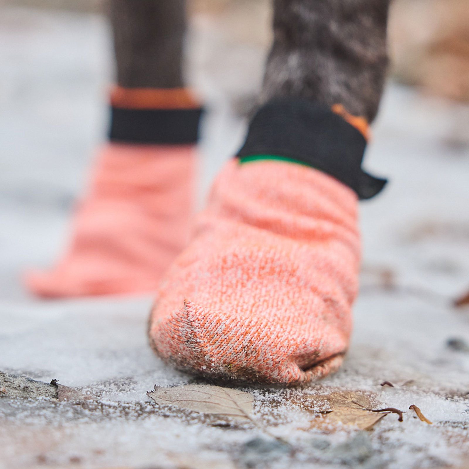 Non-stop dogwear Pfotenschutz PROTECTOR Light Socks 4er 13212, Pfotenschutz