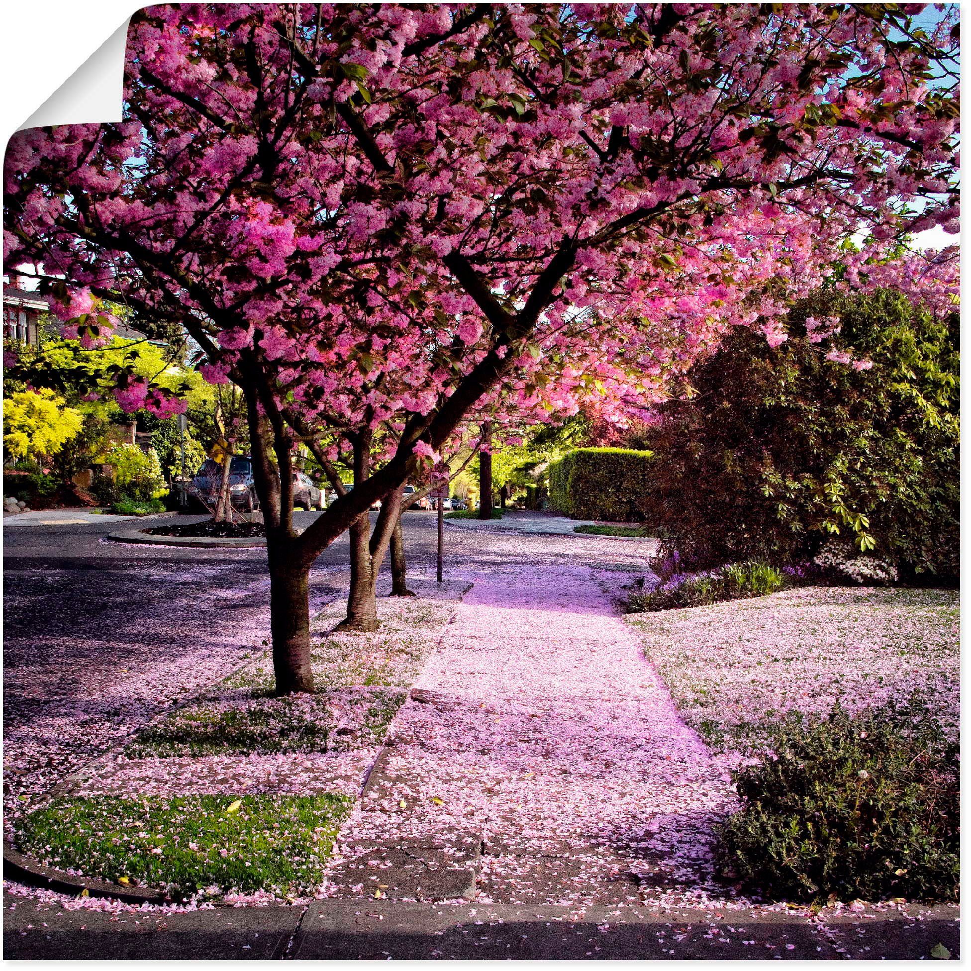 Artland Wandbild Fallende Blütenblätter, Wandaufkleber oder Größen Alubild, Leinwandbild, (1 St), versch. Bäume Poster als in
