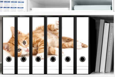 Wallario Etiketten Süße Katze mit großen Augen - rot weiß getigert, Ordnerrücken-Sticker in verschiedenen Ausführungen