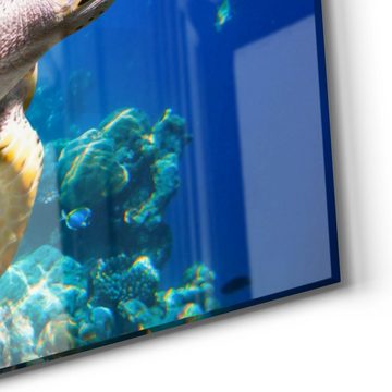 DEQORI Glasbild 'Meeresschildkröte nah', 'Meeresschildkröte nah', Glas Wandbild Bild schwebend modern