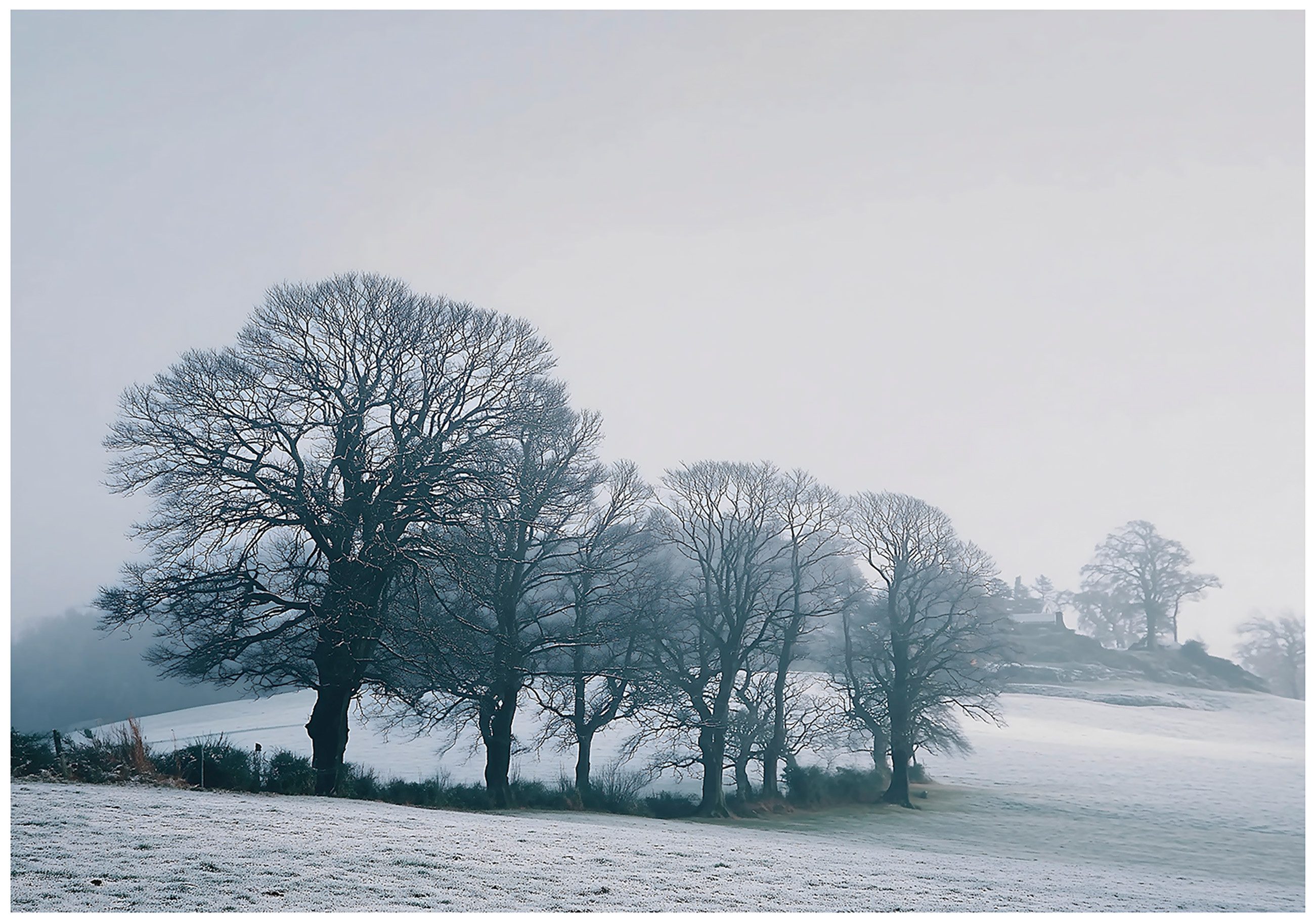 Fototapete Feld Winter Weiß Bäume Vlies Tapete Wohnzimmer Schlafzimmer Wandtapete