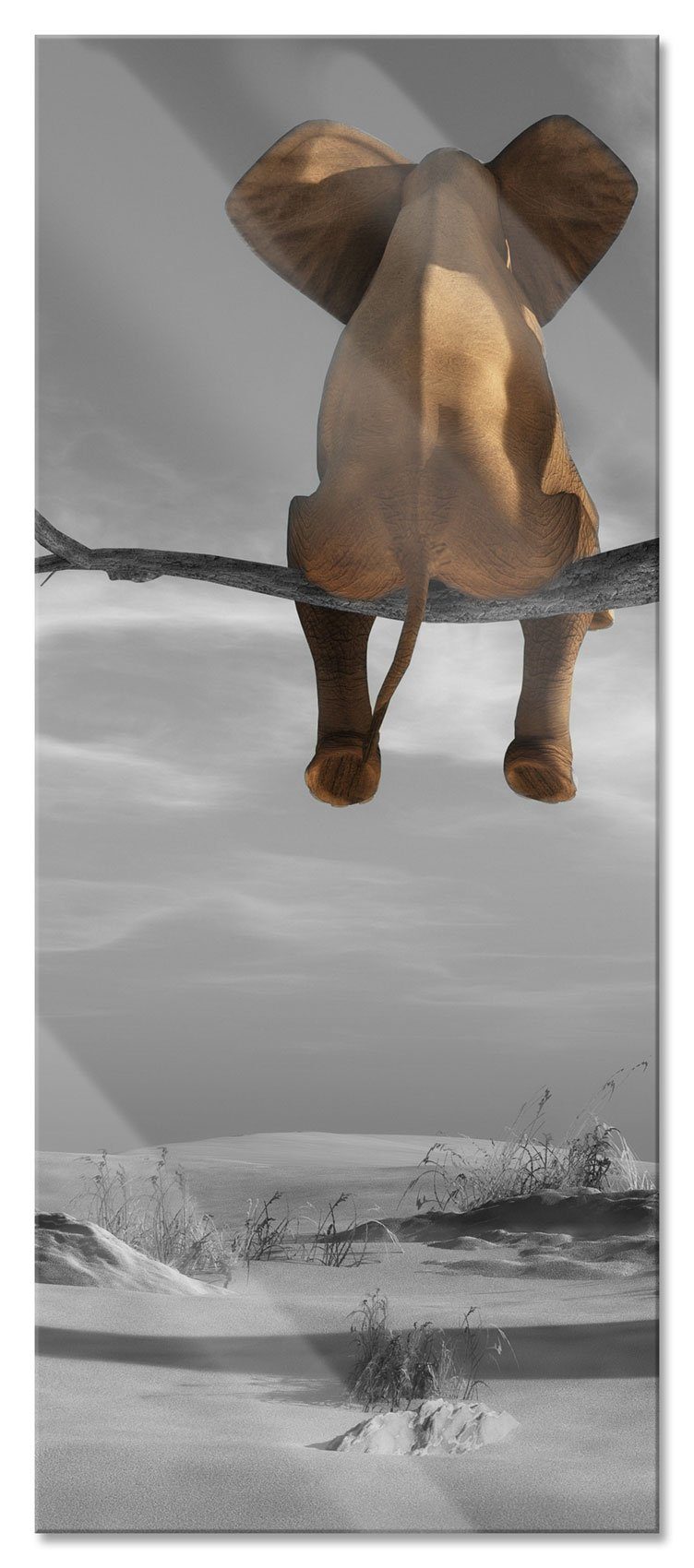 Glasbild Elefant auf einem Ast in der Wüste
