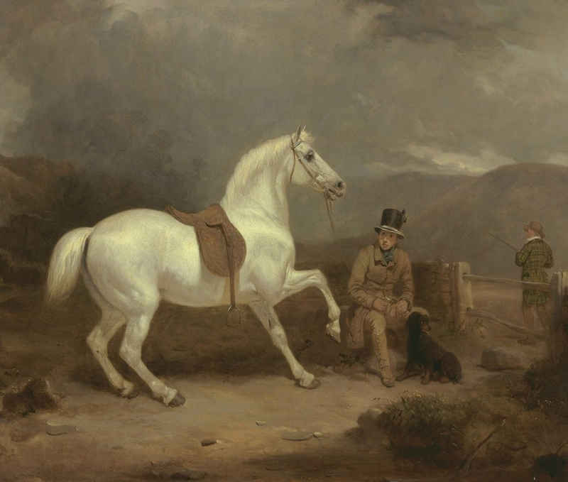Kunstdruck Grey Shooting Pony, Probably Property of Johnston King Pferd Woodward, (1 St)