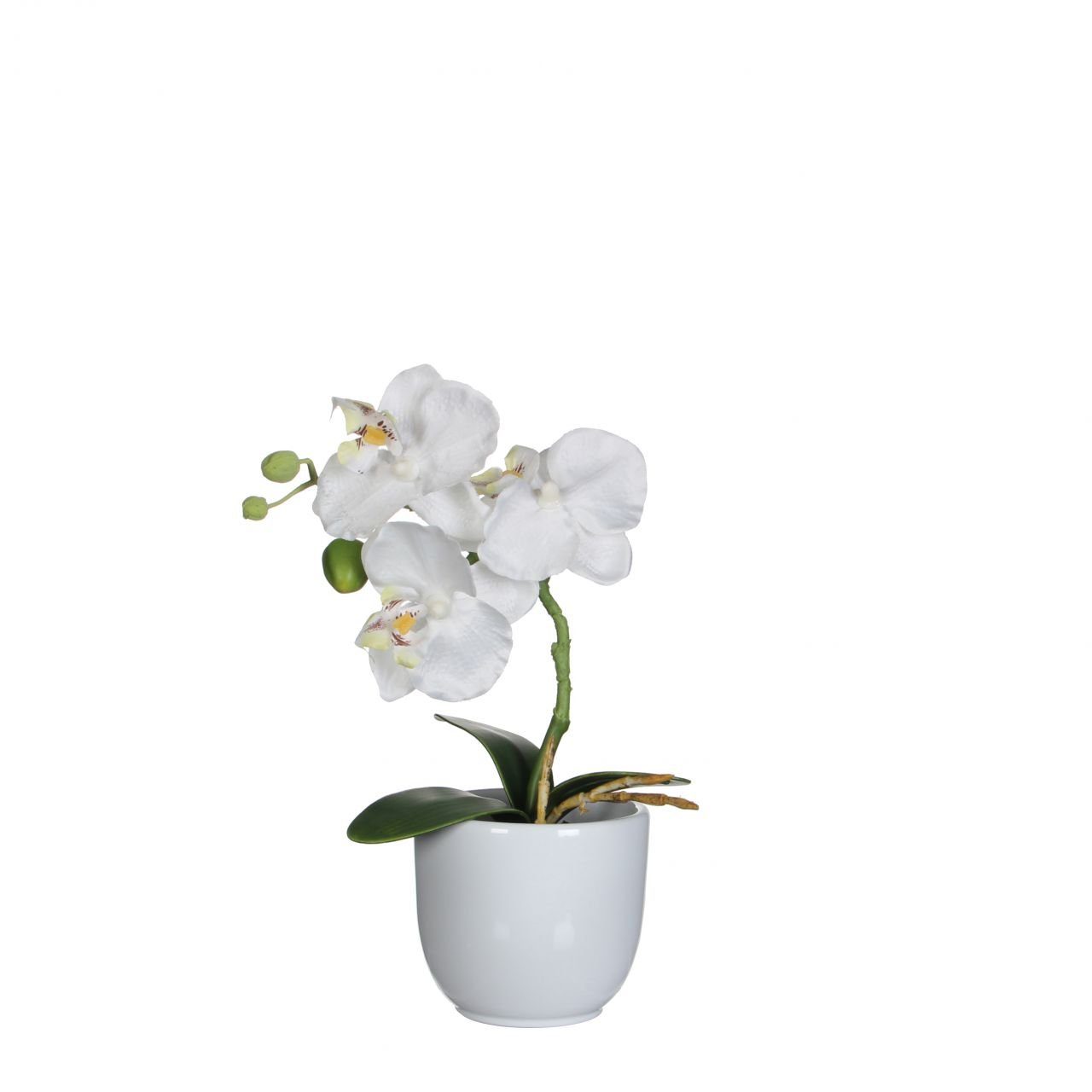 x, Topf weiß, Kunstpflanze Mica Decorations 26 Phalaenopsis Mica Kunstpflanze im