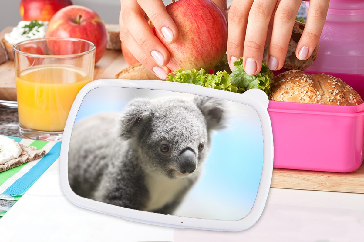 Nahaufnahme MuchoWow Kinder, Brotbox - Jungen (2-tlg), für - Kinder Kunststoff - Koala Lunchbox - Tier Erwachsene, Mädchen, Brotdose Mädchen, Kunststoff, Snackbox, - rosa