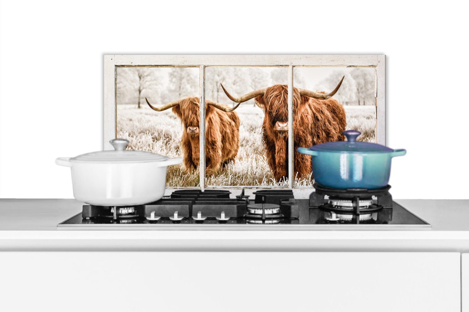 Highlander MuchoWow Wandschutz, Fett Ansicht, 60x30 - Kuh Küchen Küchenrückwand für Schottischer und gegen (1-tlg), cm, Schmutzflecken -