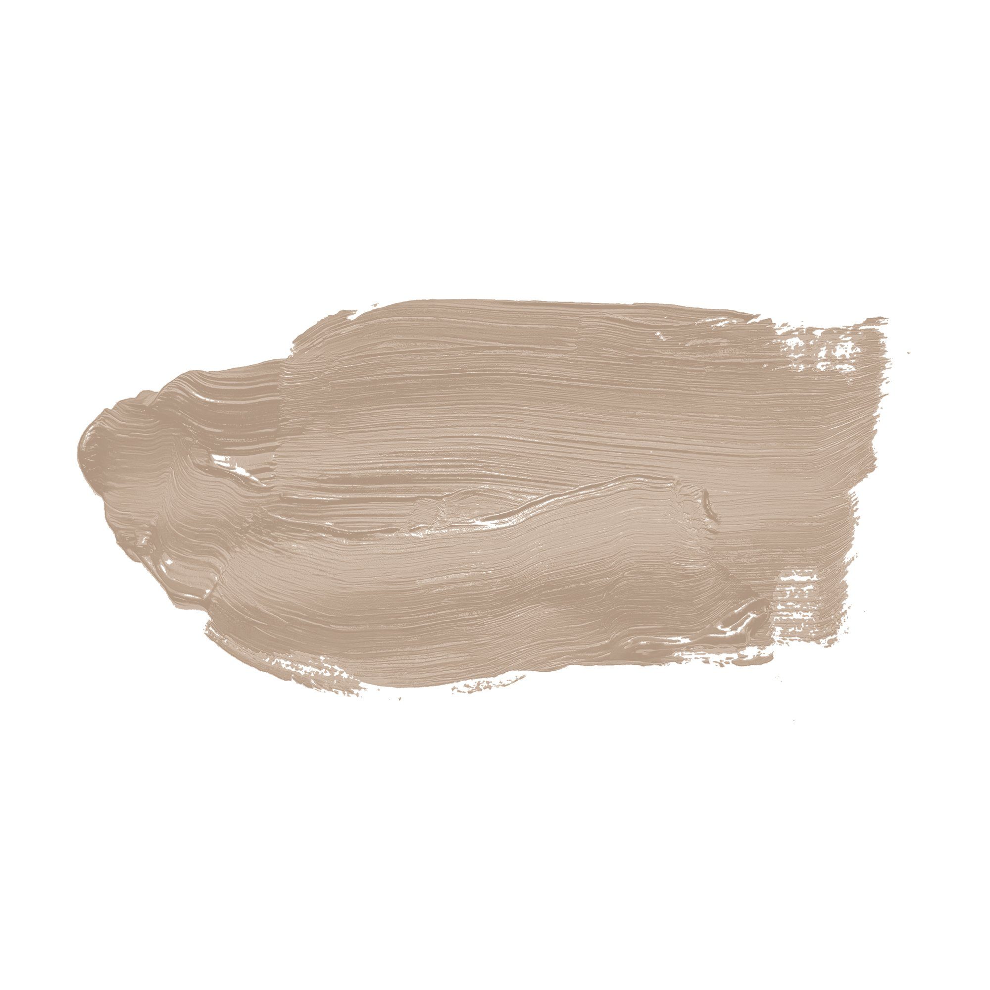 Thumbnail - A.S. Création Wandfarbe, Wand- und Deckenfarbe Seidenmatt Innenfarbe 6015 5l Matte Mushroom