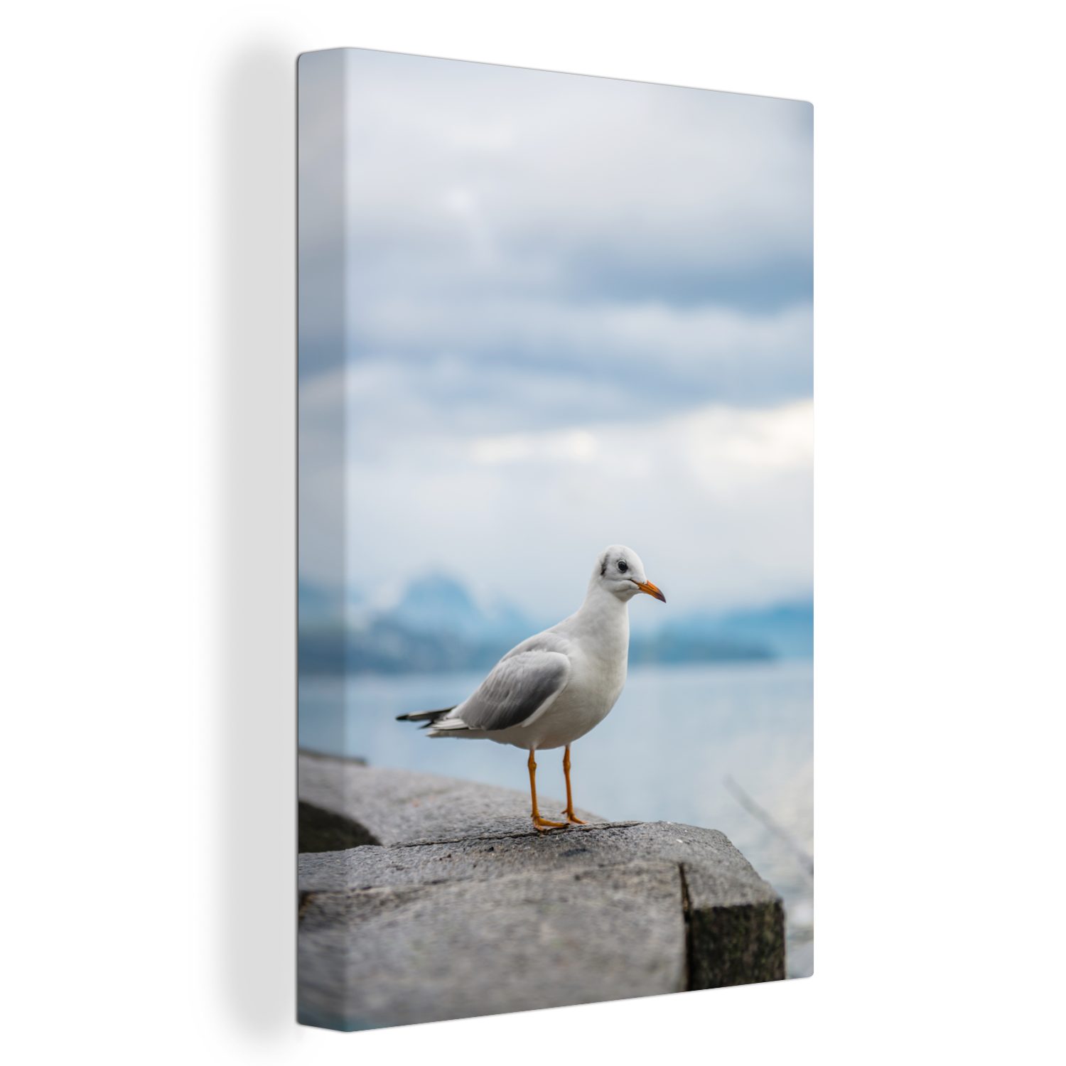 OneMillionCanvasses® Leinwandbild Möwe - Stein - Wasser, Fotodruck (1 St), Leinwand Canvas Wandbild, Wanddekoration 20x30 cm