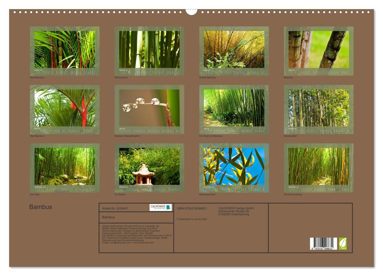 Thumbnail - CALVENDO Wandkalender Bambus (Wandkalender 2026 DIN A2 quer), CALVENDO Monatskalender