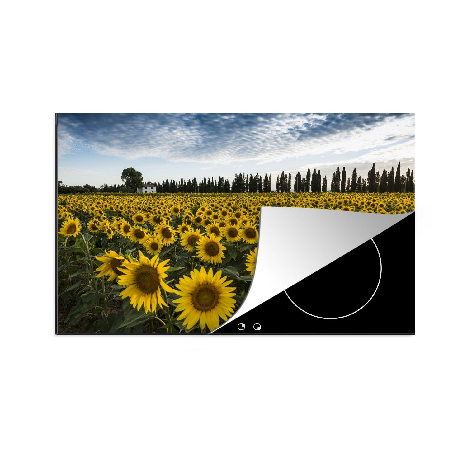 MuchoWow Herdblende-/Abdeckplatte Sonnenblume - Italien - Bäume, Vinyl, (1 tlg), 81x52 cm, Induktionskochfeld Schutz für die küche, Ceranfeldabdeckung