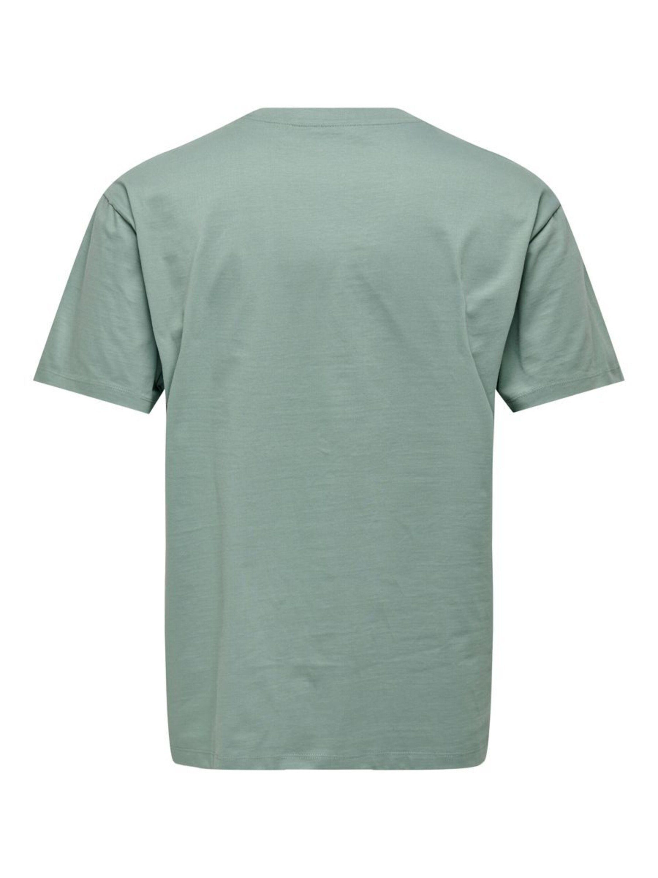 ONLY & SONS T-Shirt Fred (1-tlg) günstig online kaufen