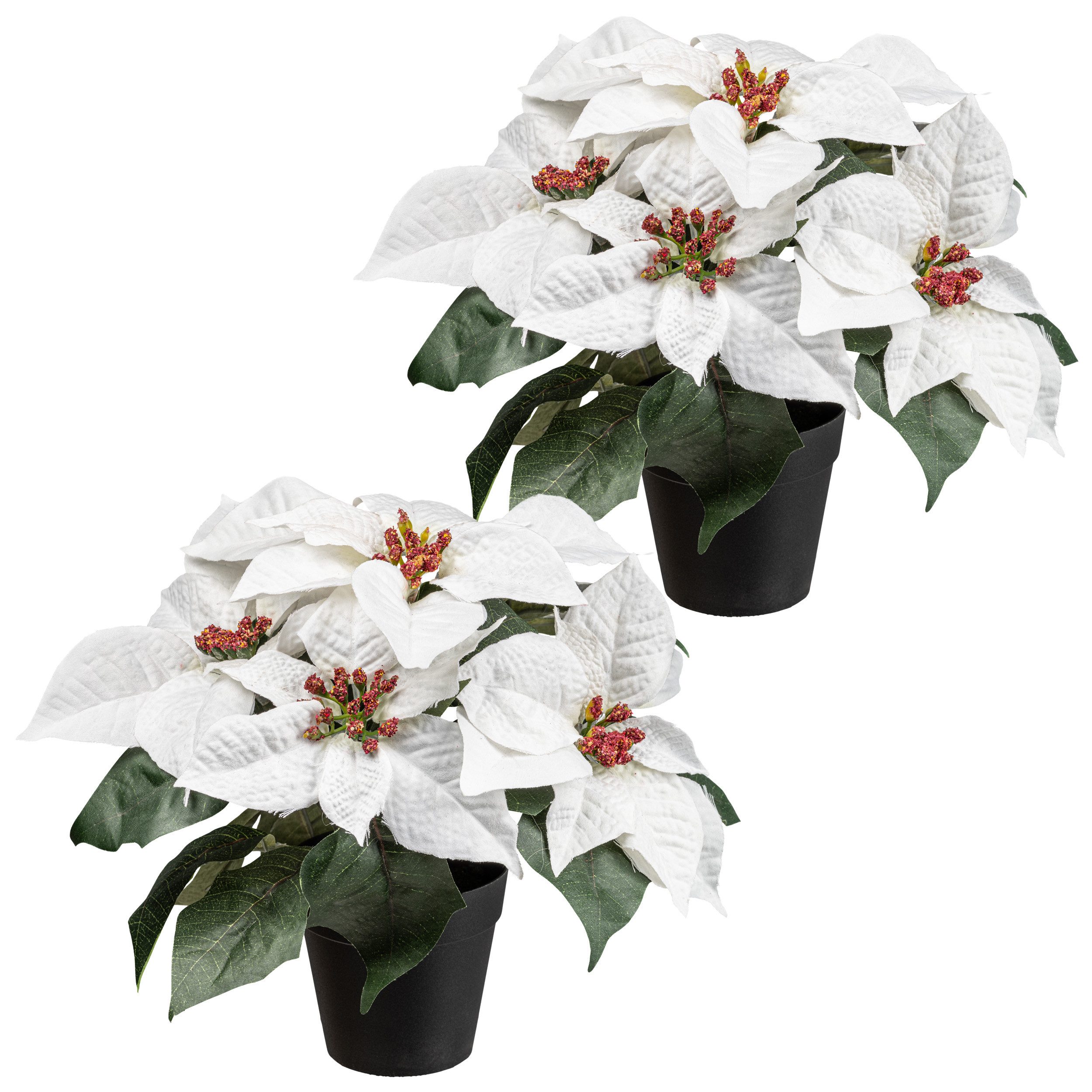 Winterliche Kunstpflanze Weihnachtsstern, Creativ green, Höhe 26 cm, mit üp günstig online kaufen