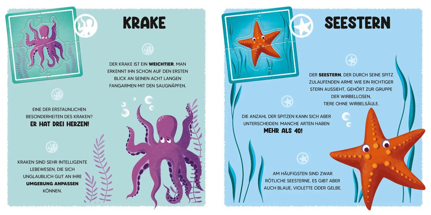 Star Puzzle Mini-Puzzle Der Ozean, Puzzleteile