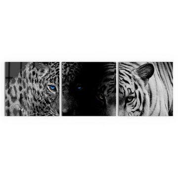 DEQORI Glasbild 'Leopard und Tiger', 'Leopard und Tiger', Glas Wandbild Bild schwebend modern