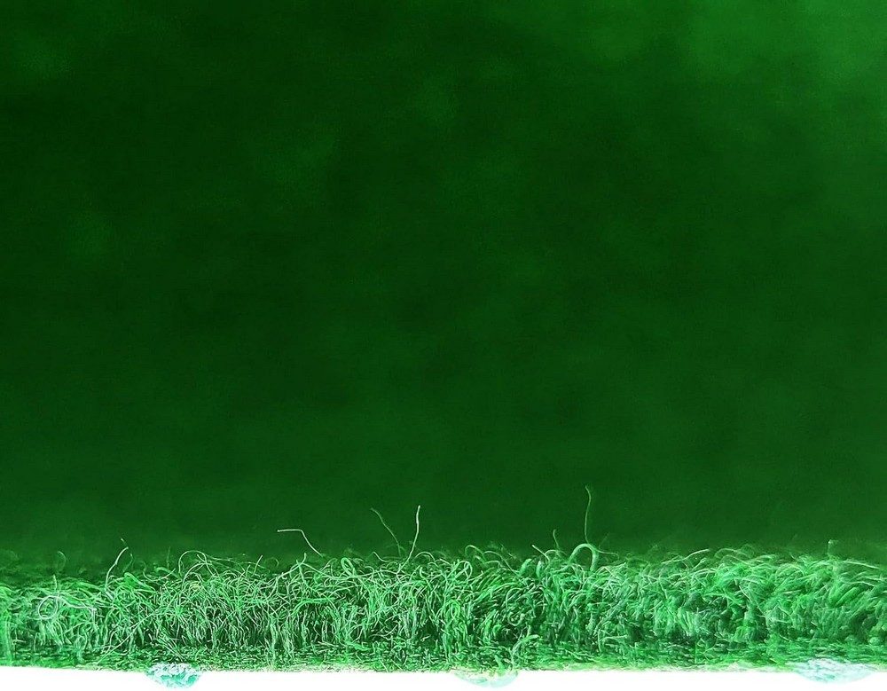 MDEKOR Kunstrasen Rasenteppich outdoor Meterware Höhe 6,5mm, 50x200cm Groen 600 (Grün) – Bild 5 von 5