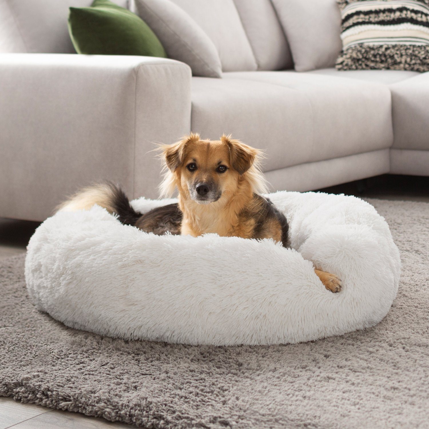 PETSTUFF Tierkissen Hundekissen Hundebett Hundematratze Hundematte, günstig online kaufen