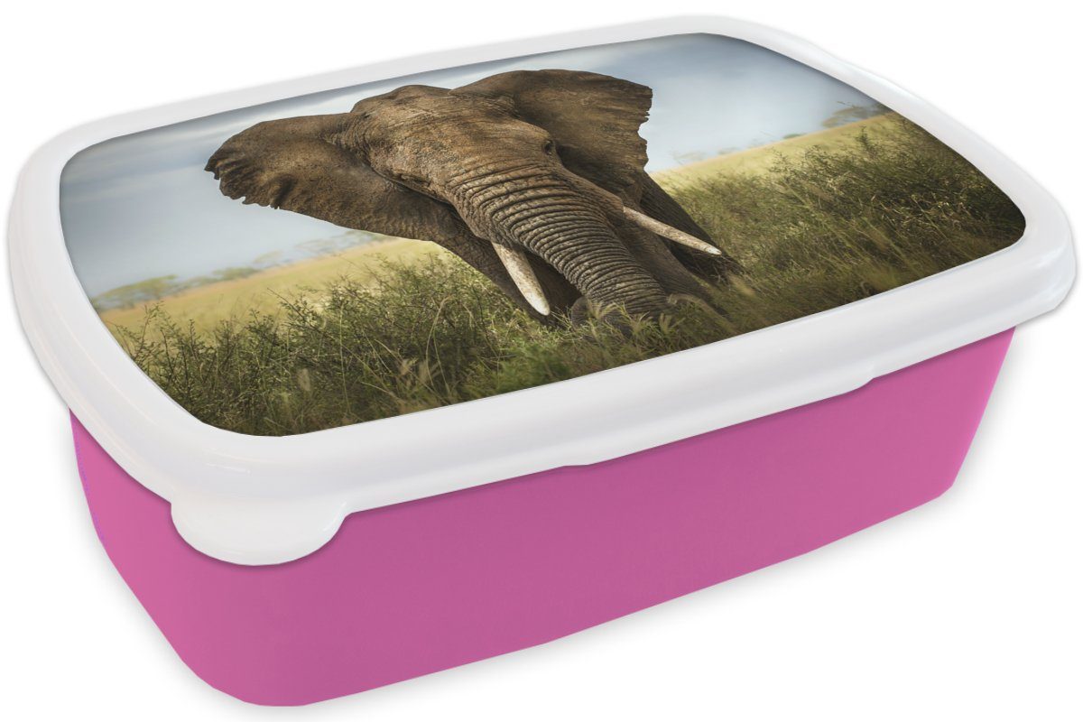 MuchoWow Lunchbox Elefant - Natur - (2-tlg), Tiere - Kinder, Kunststoff Brotdose Mädchen, Gras Snackbox, Erwachsene, Kunststoff, - Brotbox Landschaft, für rosa