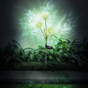 Globo LED Solarleuchte, LED-Leuchtmittel fest verbaut, Kaltweiß, Tageslichtweiß, Außenleuchte Solarlampe Gartendeko LED Pusteblume Edelstahl H 75 cm 2x