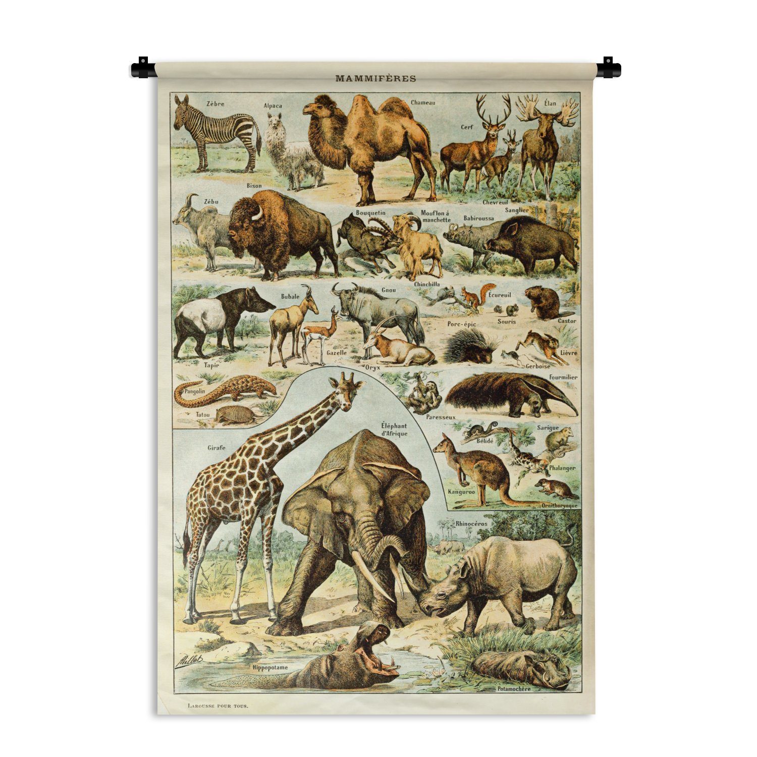 MuchoWow Wanddekoobjekt Tiere - Kamel - Giraffe - Jahrgang - Adolphe Millot, Wanddeko für Wohnzimmer, Schlafzimmer, Kleid, Wandbehang, Kinderzimmer