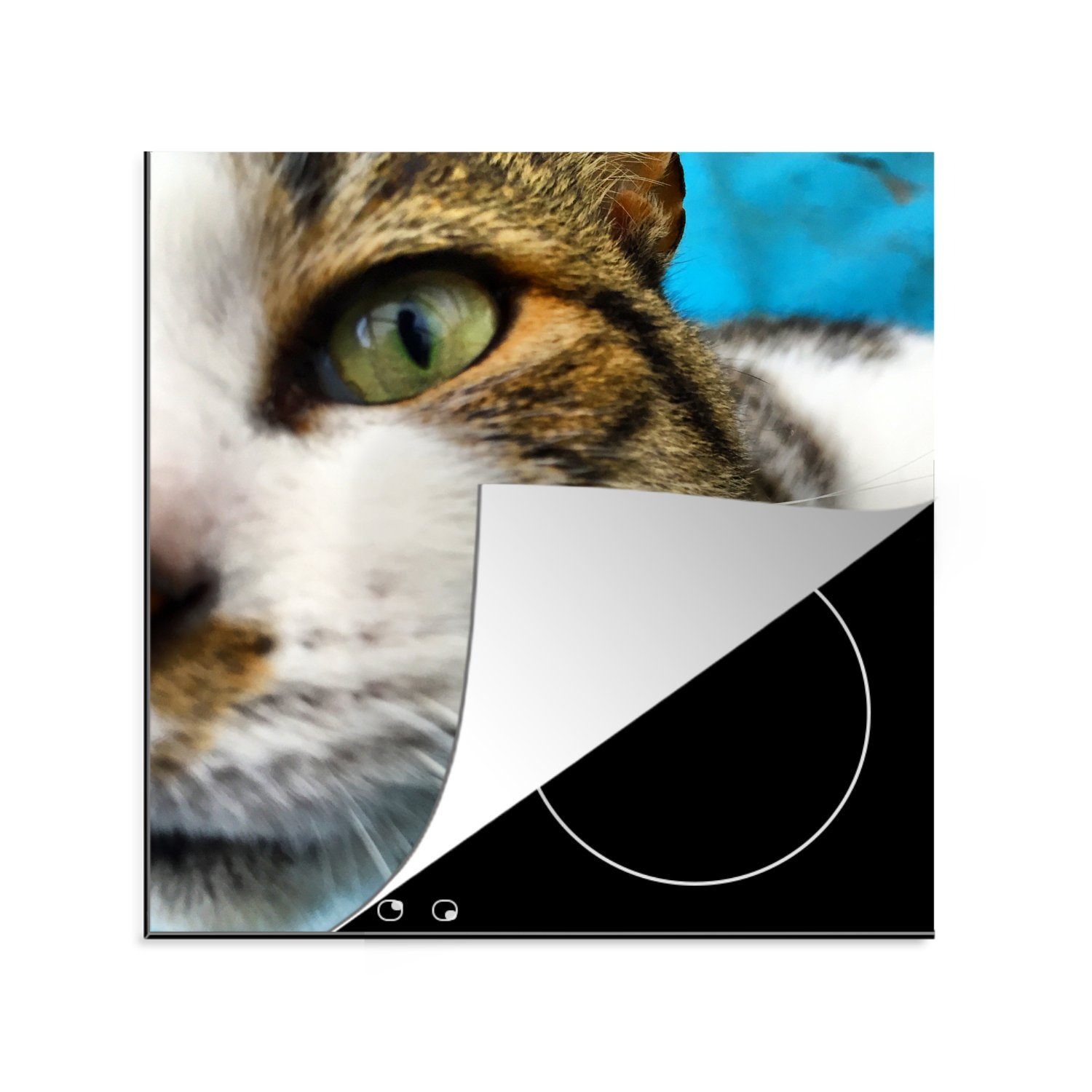 MuchoWow Herdblende-/Abdeckplatte Katze - Pfote - Kopf, Vinyl, (1 tlg), 78x78 cm, Ceranfeldabdeckung, Arbeitsplatte für küche | Herdabdeckplatten