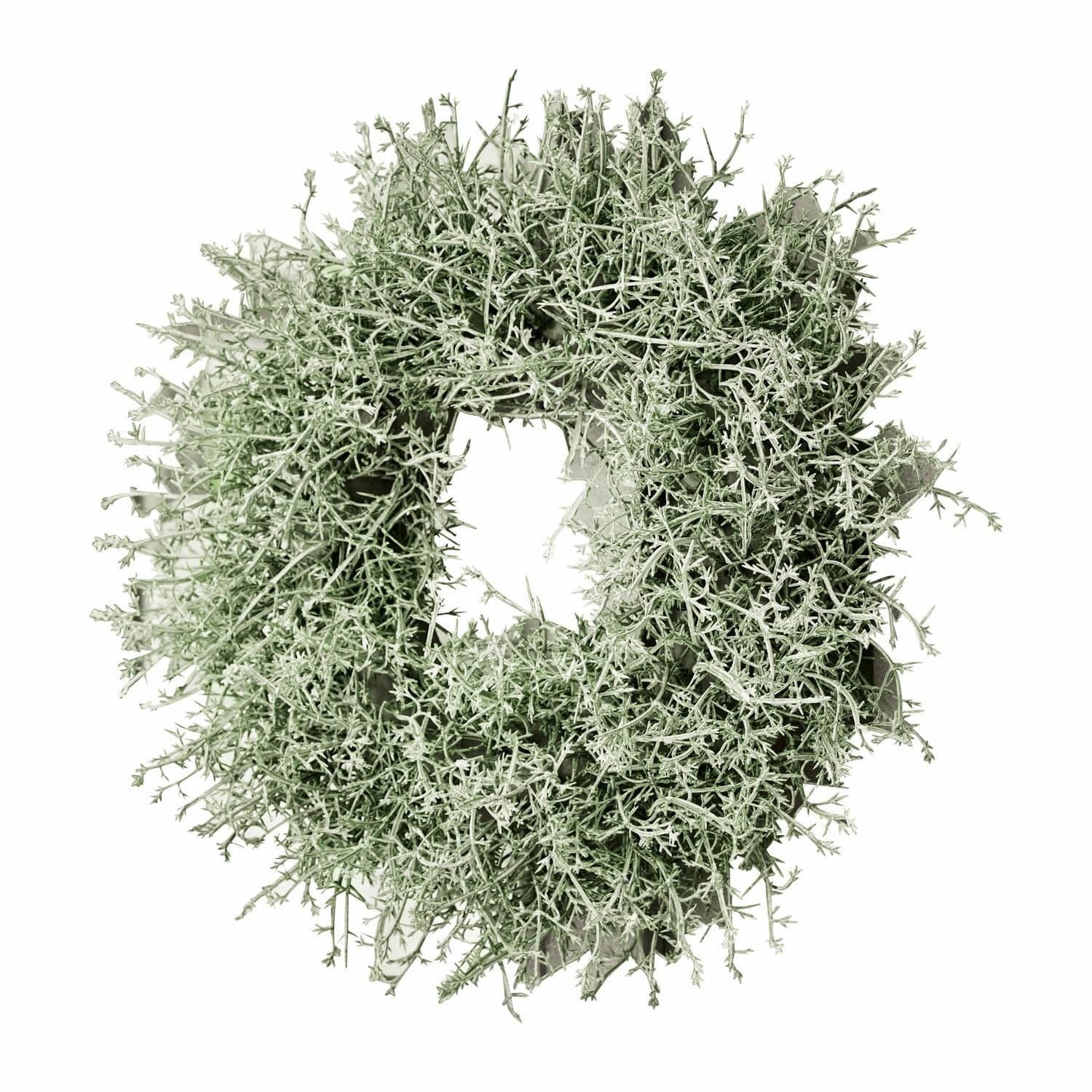 Mirabeau Dekoobjekt Kranz Senailly grün günstig online kaufen