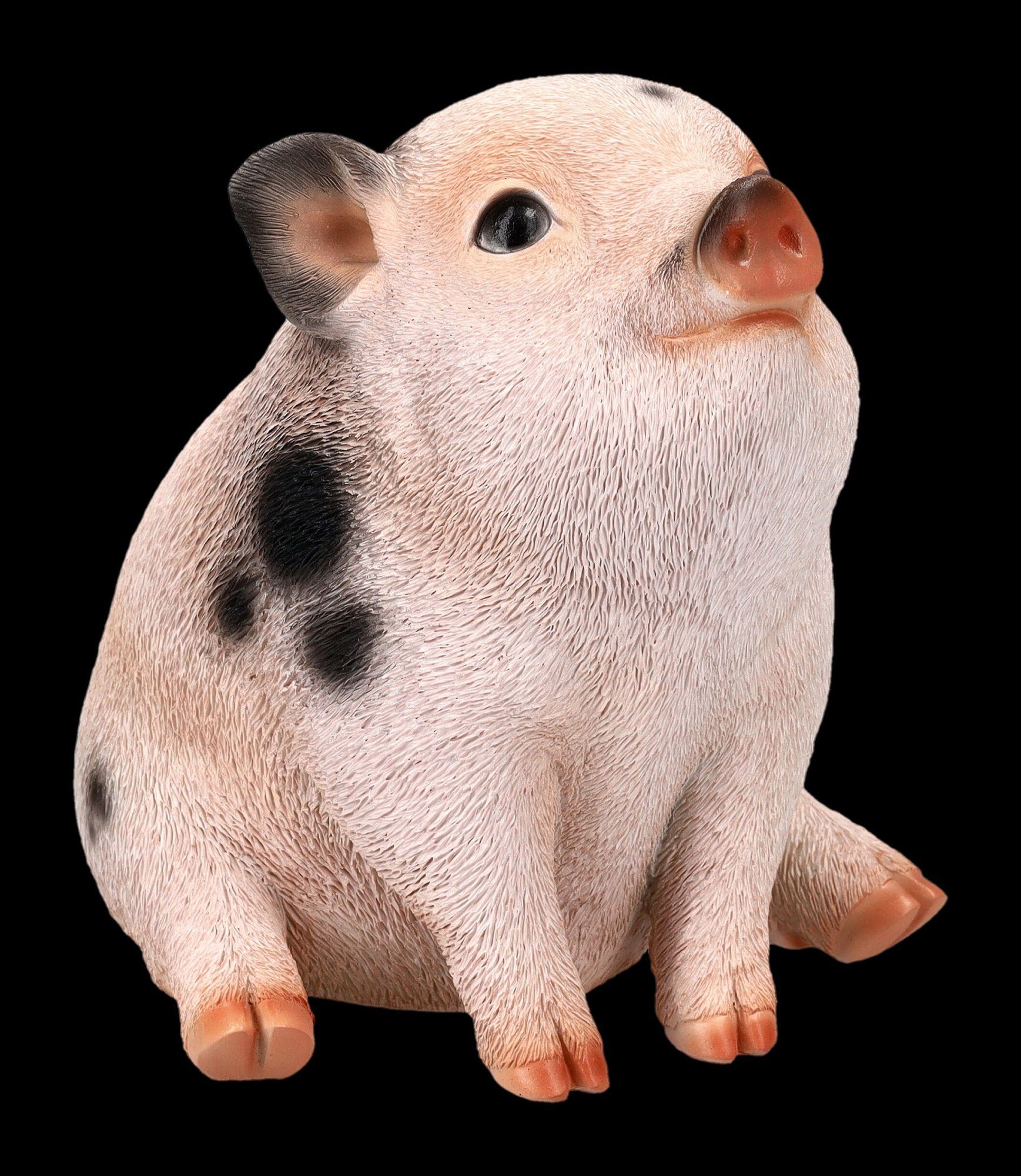 Figuren Shop GmbH Tierfigur Schweine Figur - Geflecktes Schweinchen Baby - Tierfigur Dekofigur Ferkel | Tierfiguren