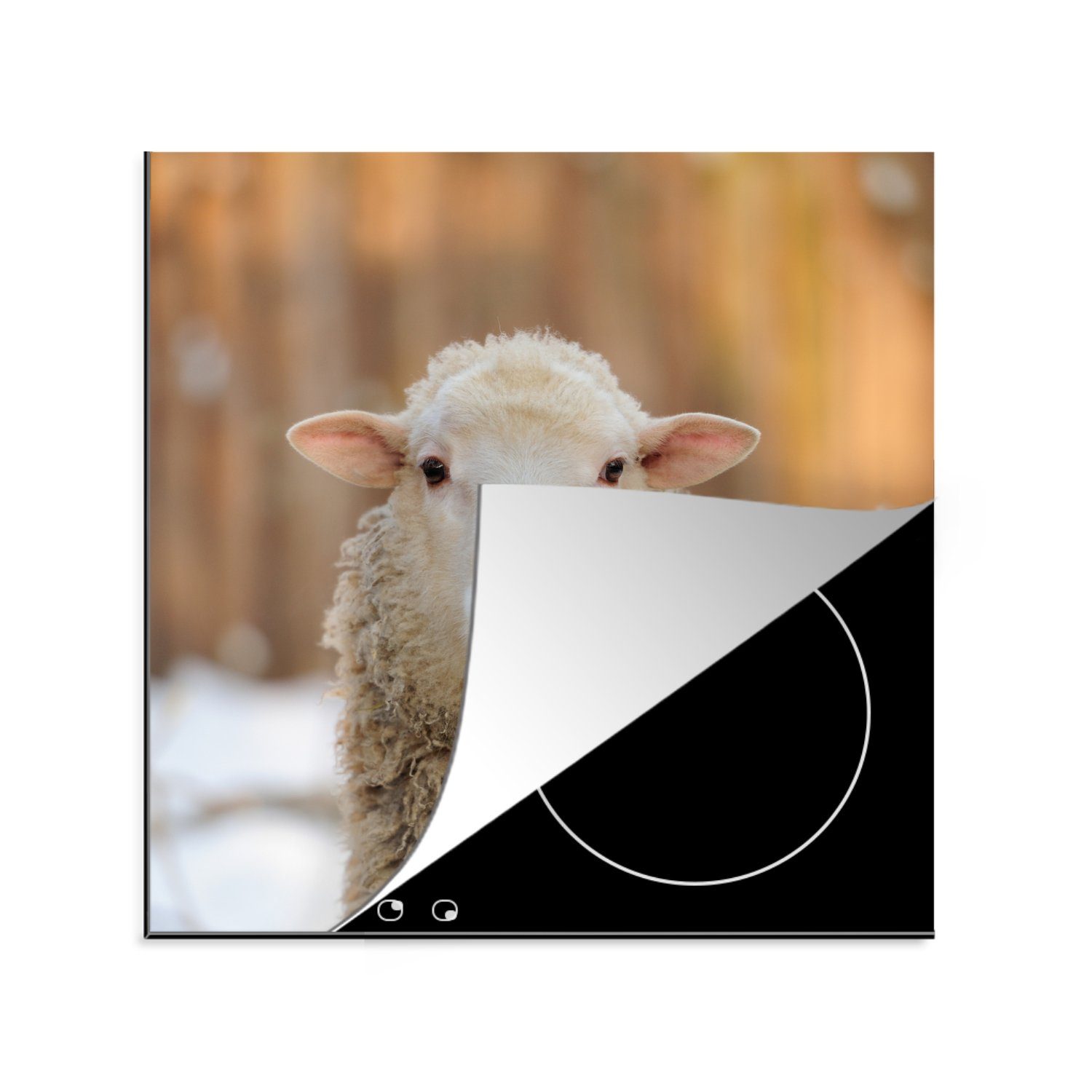 MuchoWow Herdblende-/Abdeckplatte Schafe - Schnee - Wolle, Vinyl, (1 tlg), 78x78 cm, Ceranfeldabdeckung, Arbeitsplatte für küche