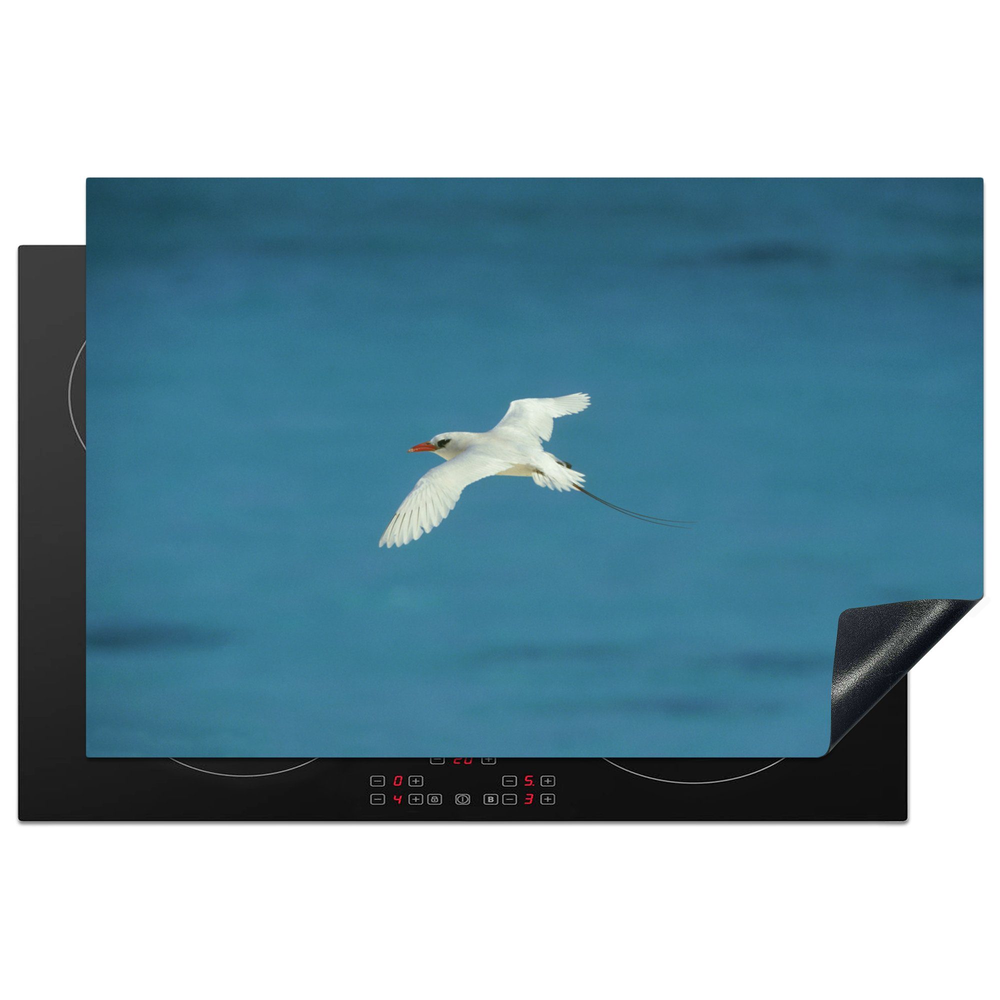 MuchoWow Herdblende-/Abdeckplatte Rotschwanztropikvogel fliegt über das Meer, Vinyl, (1 tlg), 81x52 cm, Induktionskochfeld Schutz für die küche, Ceranfeldabdeckung