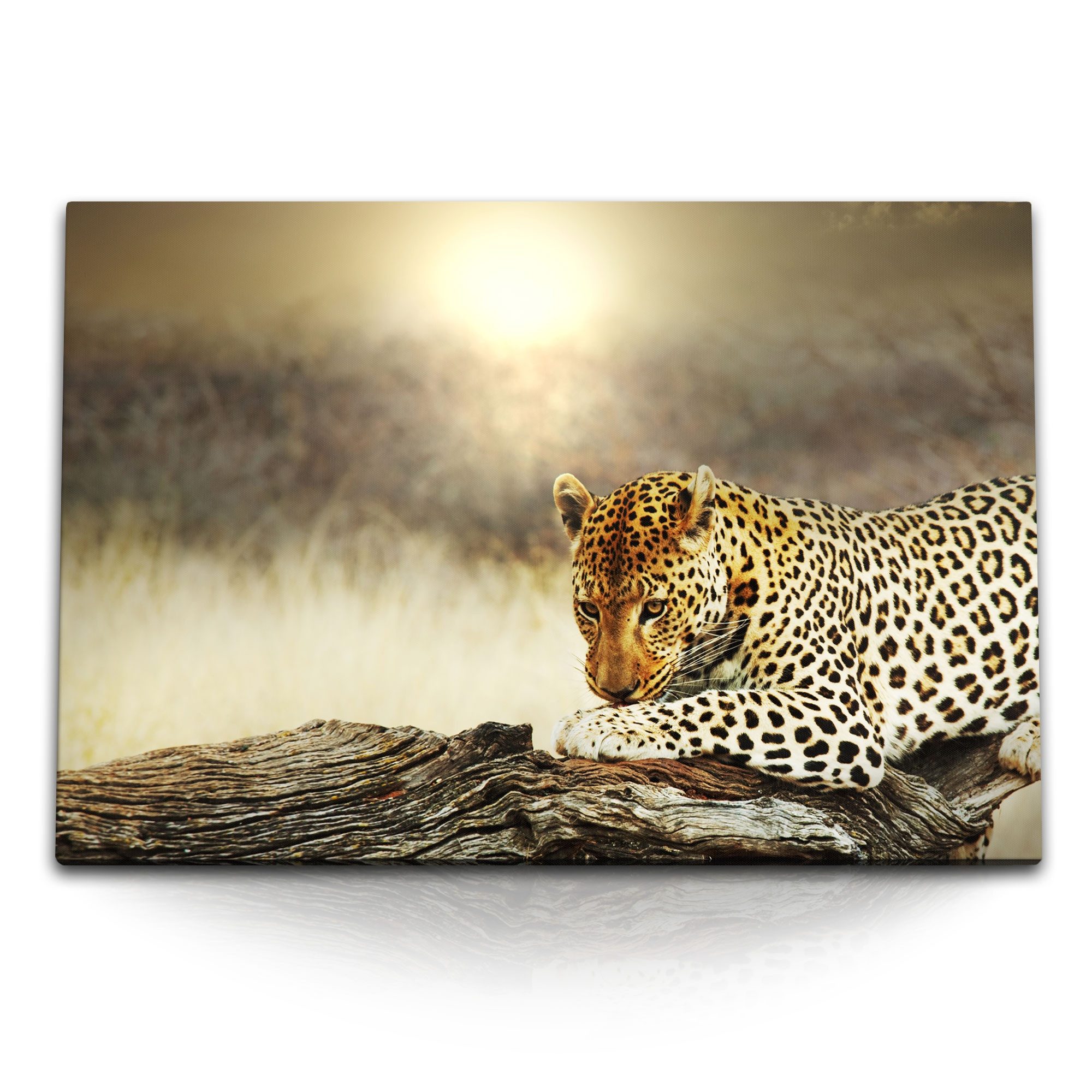 Leinwandbild 120x80cm Wandbild auf Leinwand Jaguar Leopard Raubkatze Wildnis Tierfo