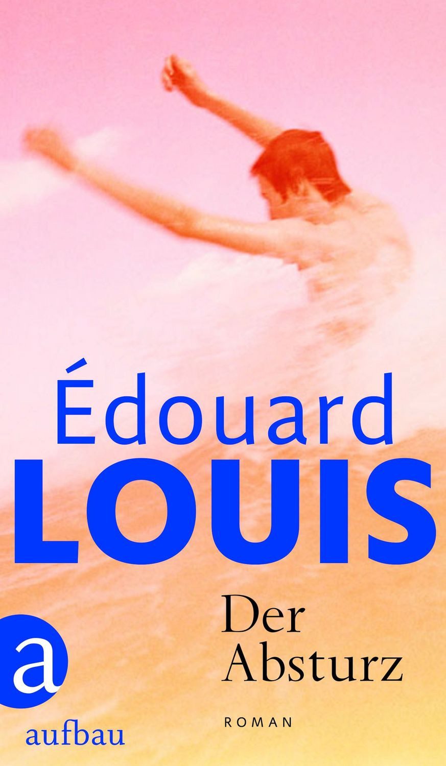 Der Absturz / Édouard Louis, Roman