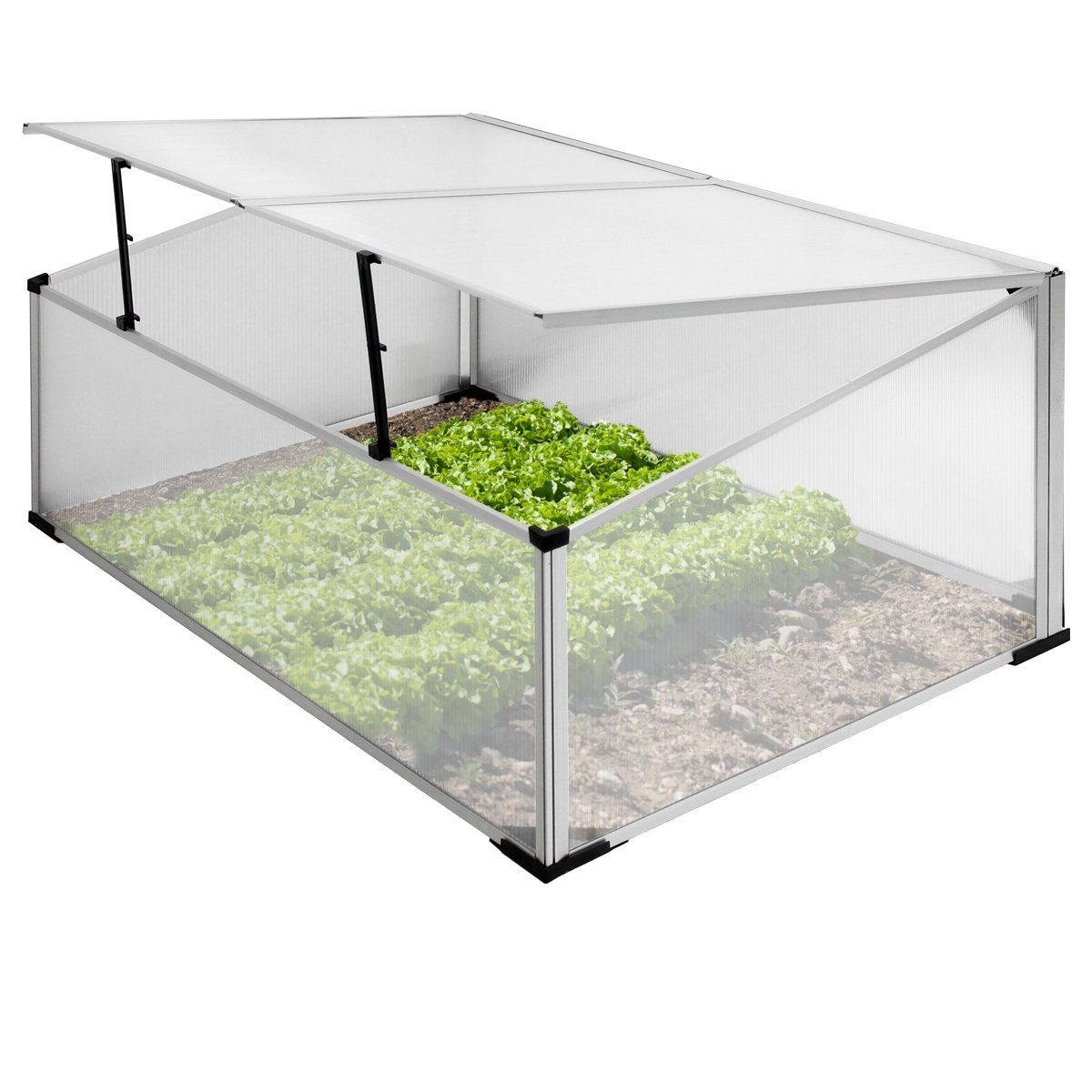 ECD Germany Frühbeet Gewächshaus Treibhaus Frühbeetkasten Tomatenhaus Pflan günstig online kaufen