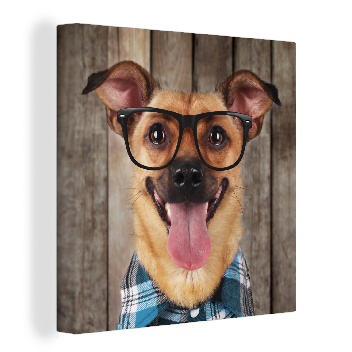 OneMillionCanvasses® Leinwandbild Hund - Brille - Bluse - Hipster, (1 St), Leinwand Bilder für Wohnzimmer Schlafzimmer