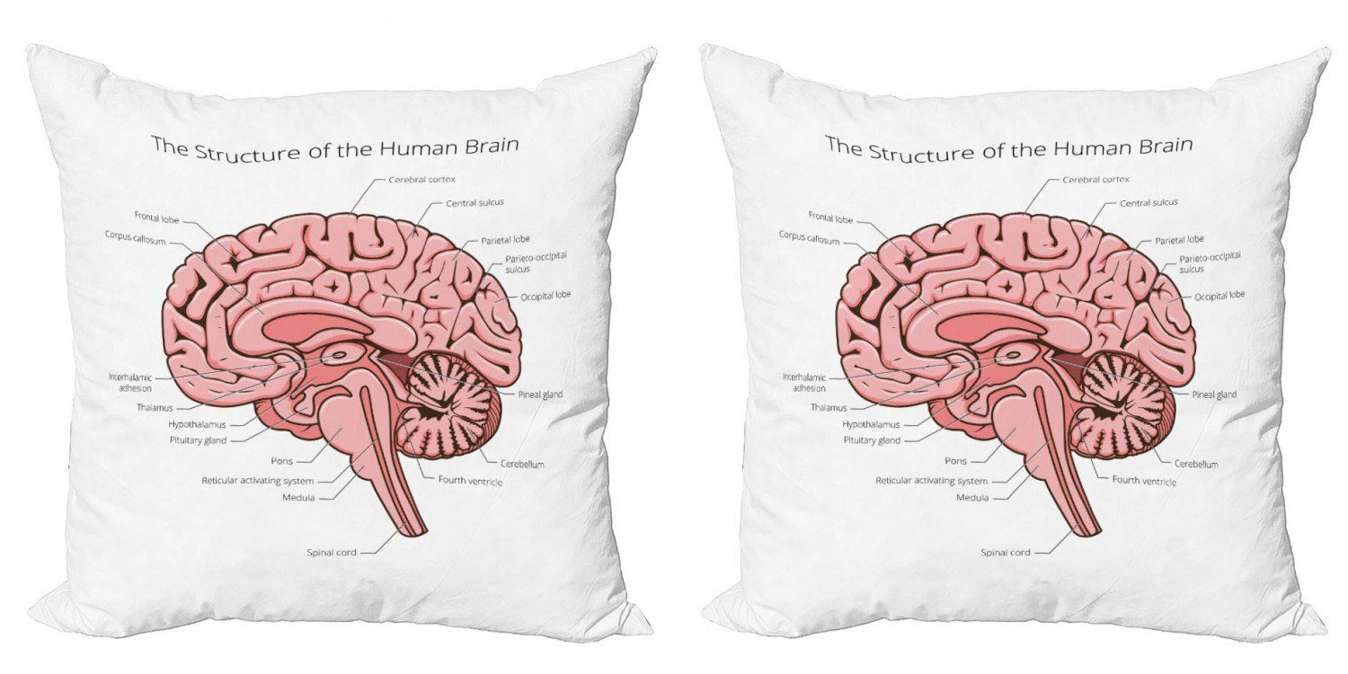 Kissenbezüge Modern Accent Doppelseitiger Digitaldruck, Abakuhaus (2 Stück), Anatomie Pädagogische Menschlichen Gehirn