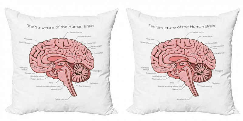 Kissenbezüge Modern Accent Doppelseitiger Digitaldruck, Abakuhaus (2 Stück), Anatomie Pädagogische Menschlichen Gehirn