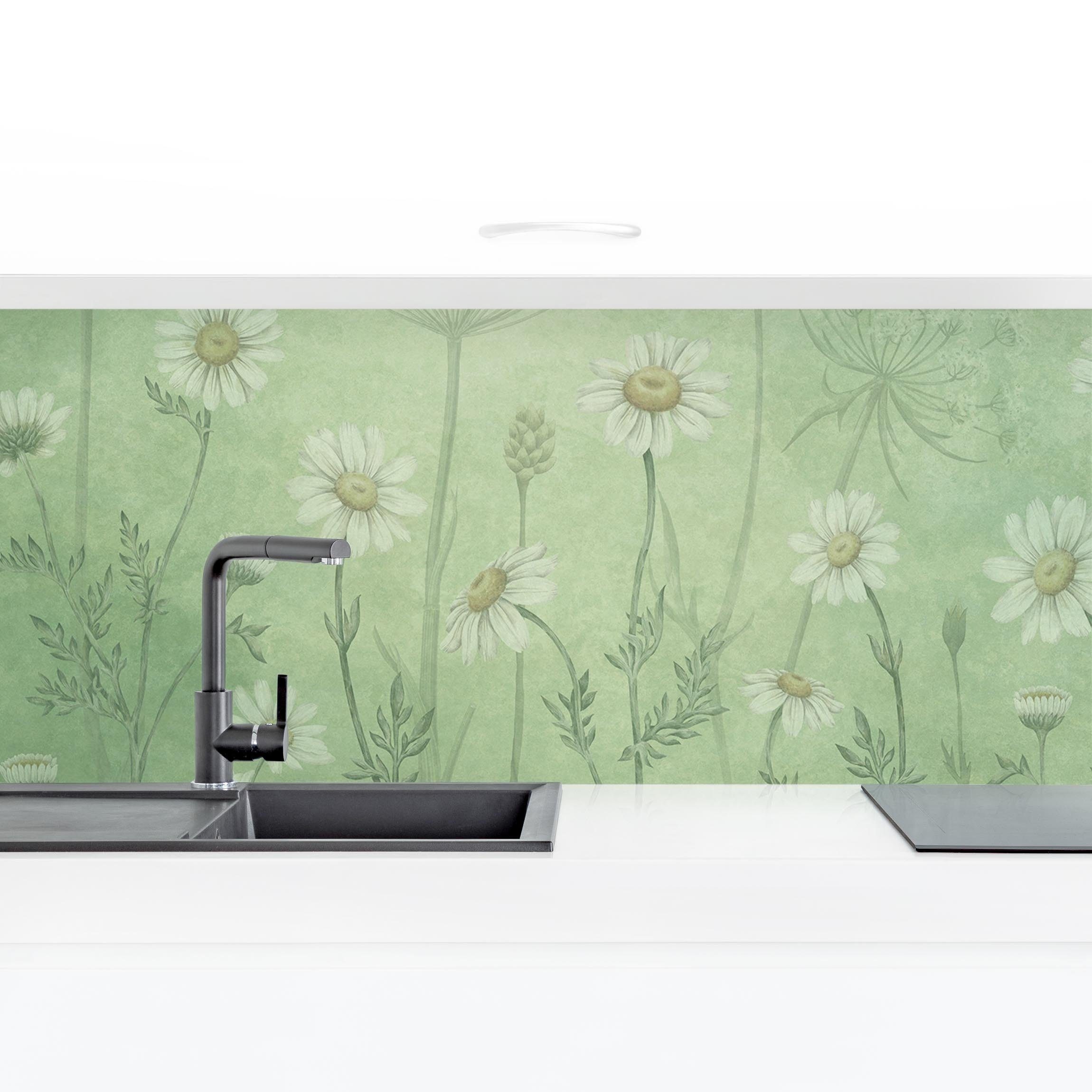 Bilderdepot24 Küchenrückwand grün Blumen Natur Gänseblümchen im grünen Nebel, (1-tlg., Nischenrückwand - für Fliesenspiegel ohne Bohren - matt), Spritzschutz Rückwand Küche Herd - Folie selbstklebend versch. Größen