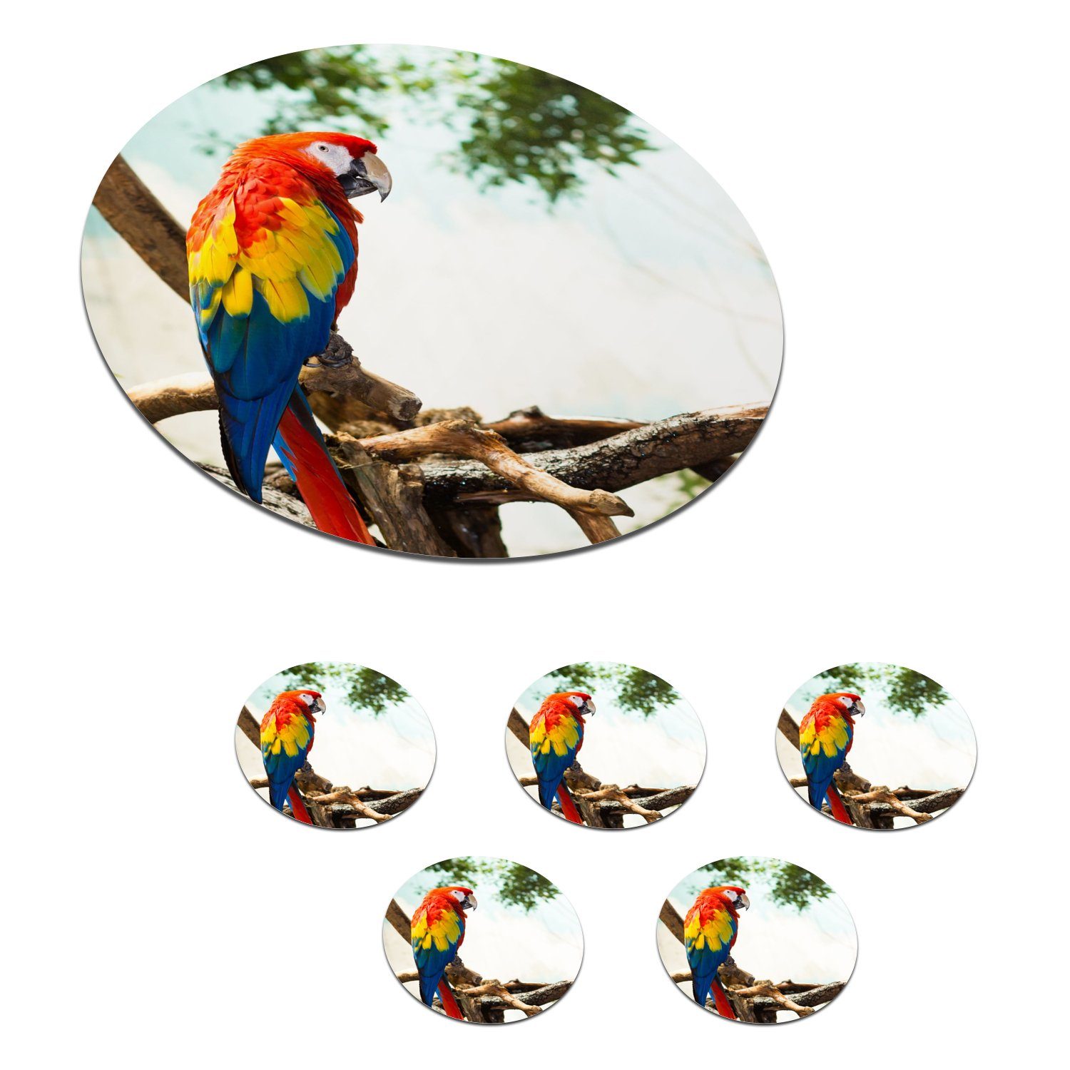 MuchoWow Glasuntersetzer Papagei - Vogel - Regenbogen - Tropisch, Zubehör für Gläser, 6-tlg., Getränkeuntersetzer, Tassenuntersetzer, Korkuntersetzer, Tasse, Becher