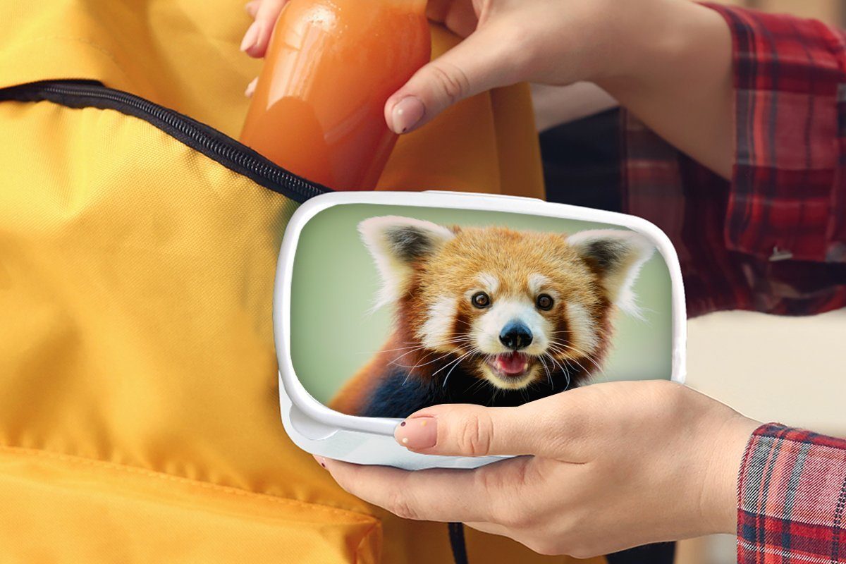 MuchoWow Lunchbox Roter Panda für Erwachsene, Brotdose, und Kunststoff, Brotbox - Schwarz, weiß - für Mädchen (2-tlg), Jungs Kinder Orange und