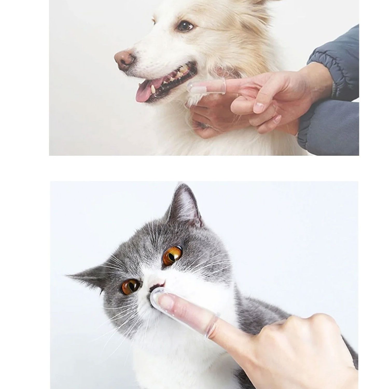 Jungengel Tier-Fingerzahnbürste Finger-Zahnbürste für Haustiere – Silikon-Bürste für Hunde & Katzen, Silikonmaterial, für alle Haustiergrößen geeignet