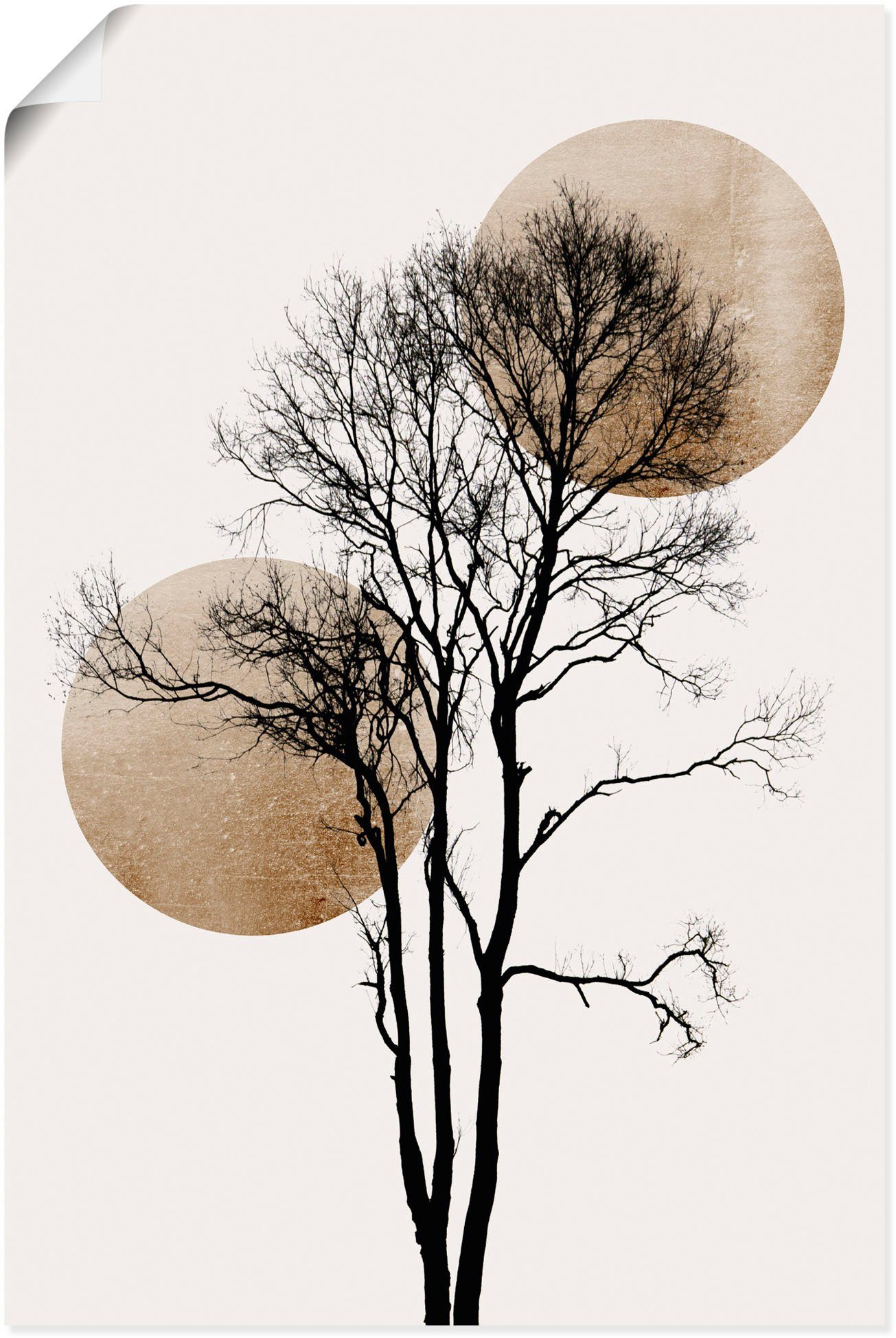 versch. Wandbild in Mond Leinwandbild, Poster oder Größen (1 Sonne Baumbilder als St), Wandaufkleber Artland und Alubild, versteckt,