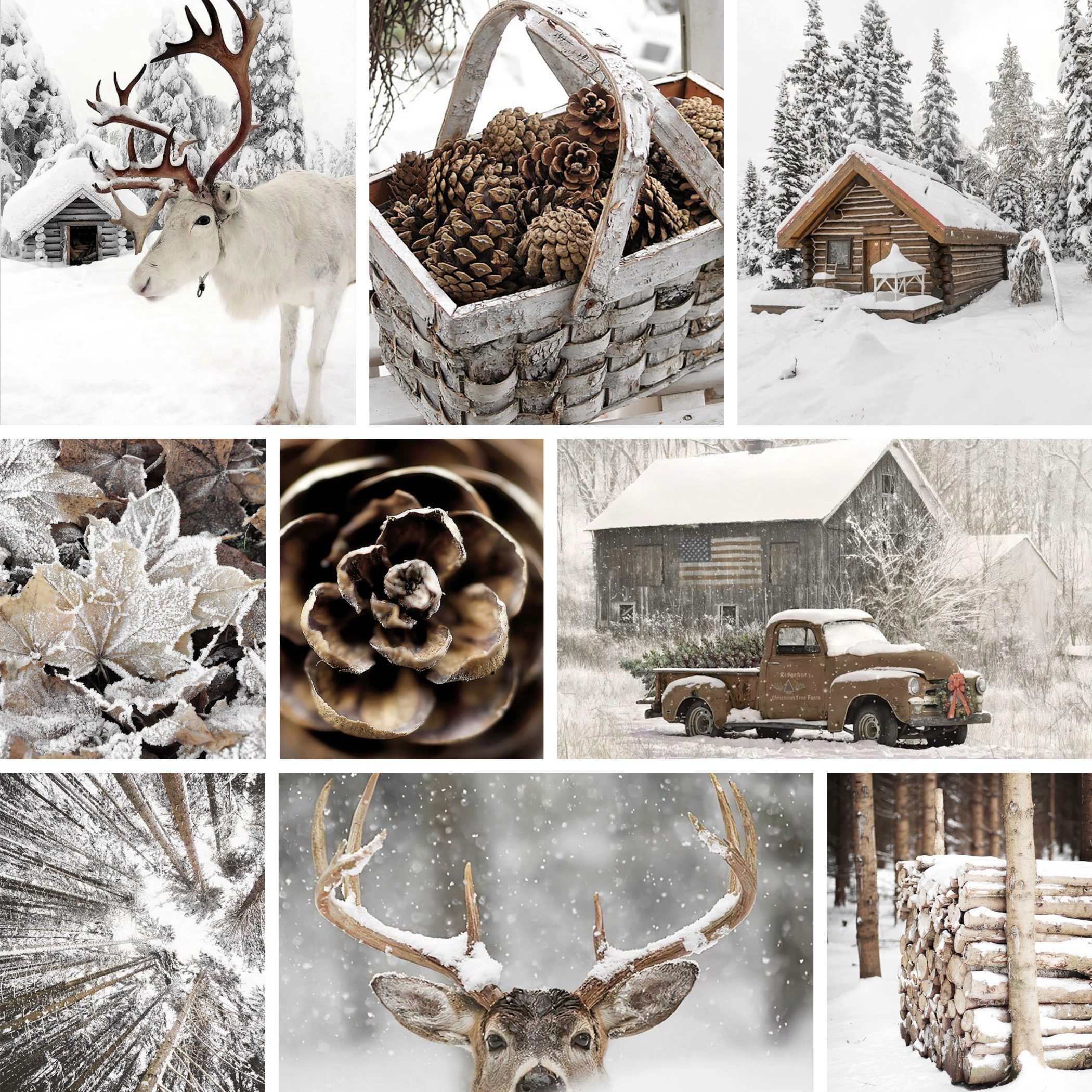 JUSTGOODMOOD Poster Winter Holz Hütte im Schnee Rentier Tannenzapfen Bilder Wohnzimmer Wan, B (1 St)