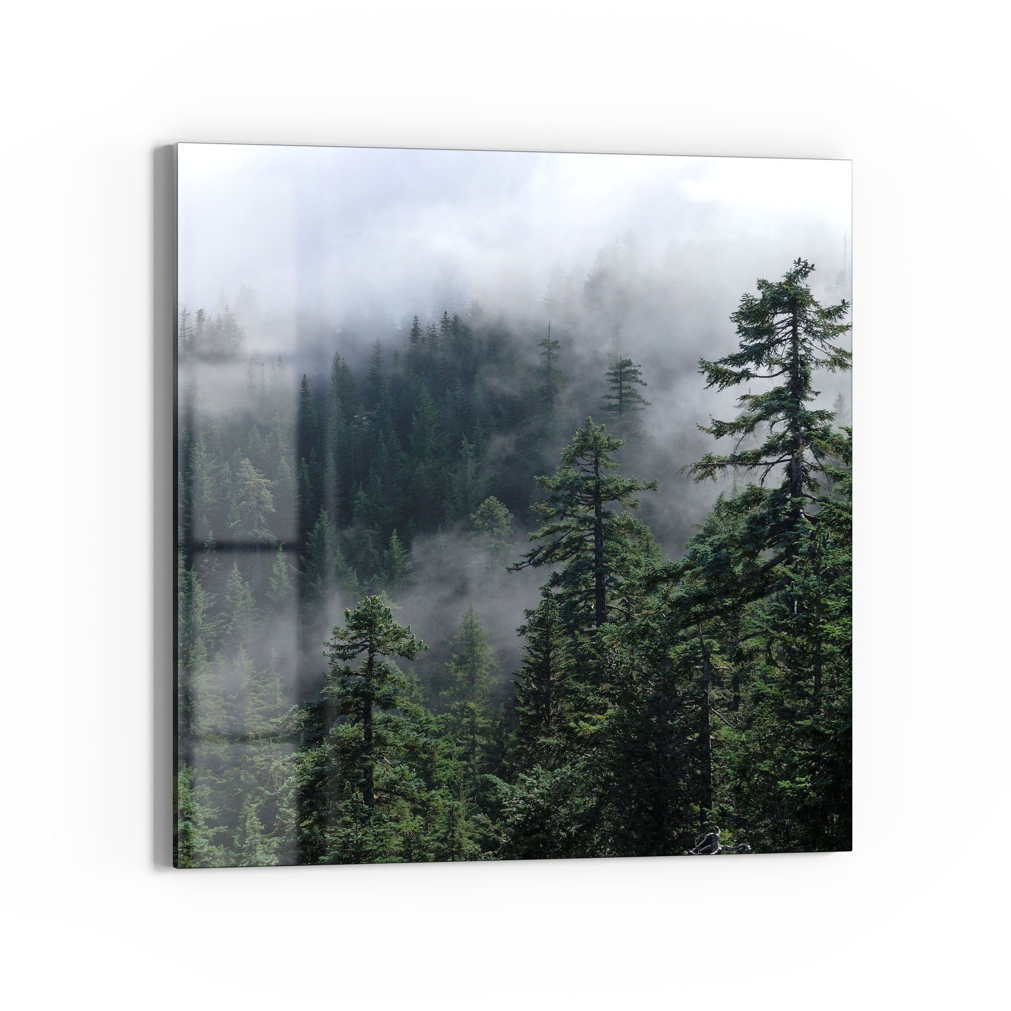 DEQORI Glasbild 'Tannenspitzen im Nebel', 'Tannenspitzen im Nebel', Glas Wandbild Bild schwebend modern