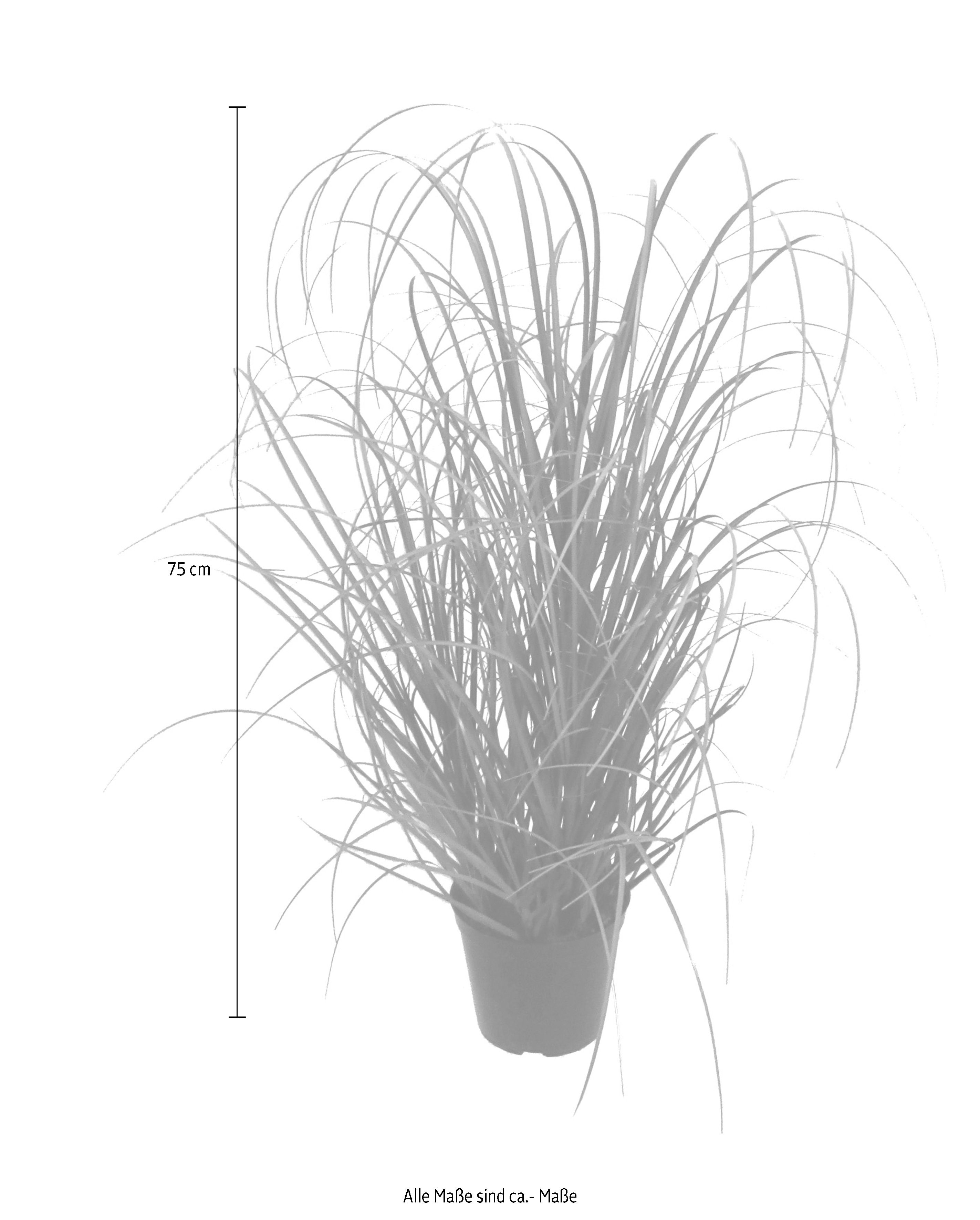 Kunstgras Gras, Creativ green, Höhe 75 cm günstig online kaufen