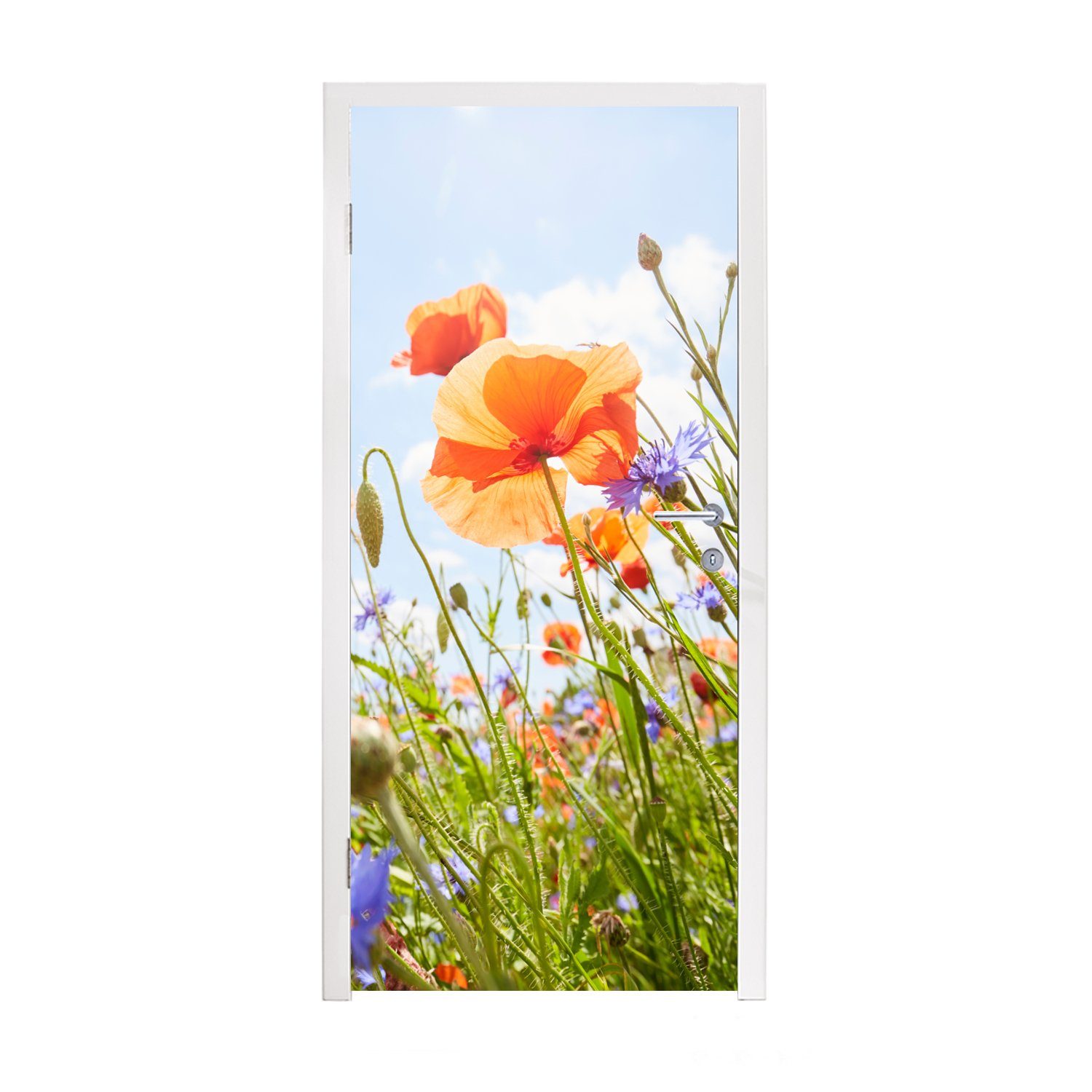 MuchoWow Türtapete Blumen - Mohn - Frühling - Natur - Rot - Blau, Matt, bedruckt, (1 St), Fototapete für Tür, Türaufkleber, 75x205 cm